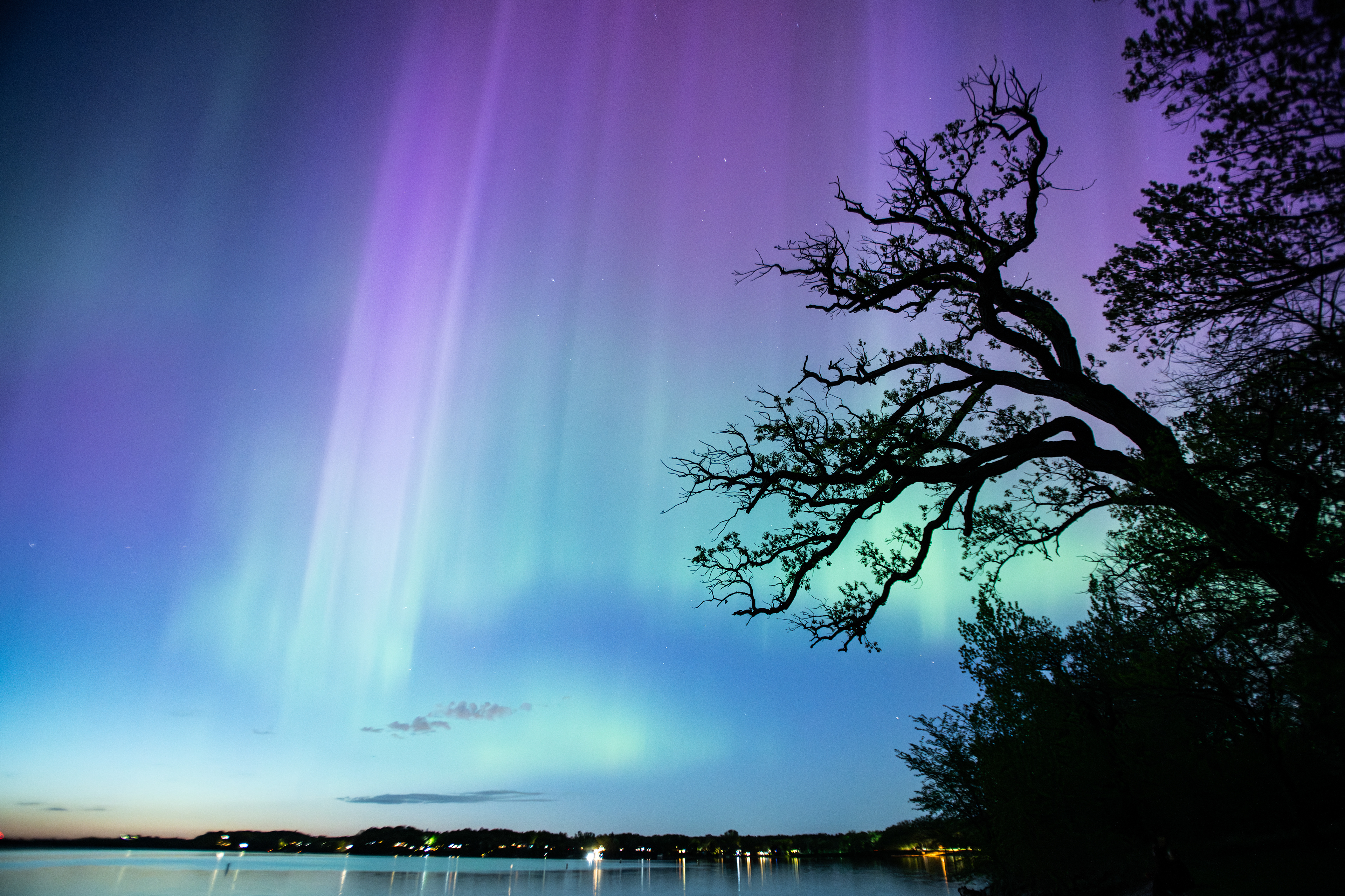 Gallery of Nature