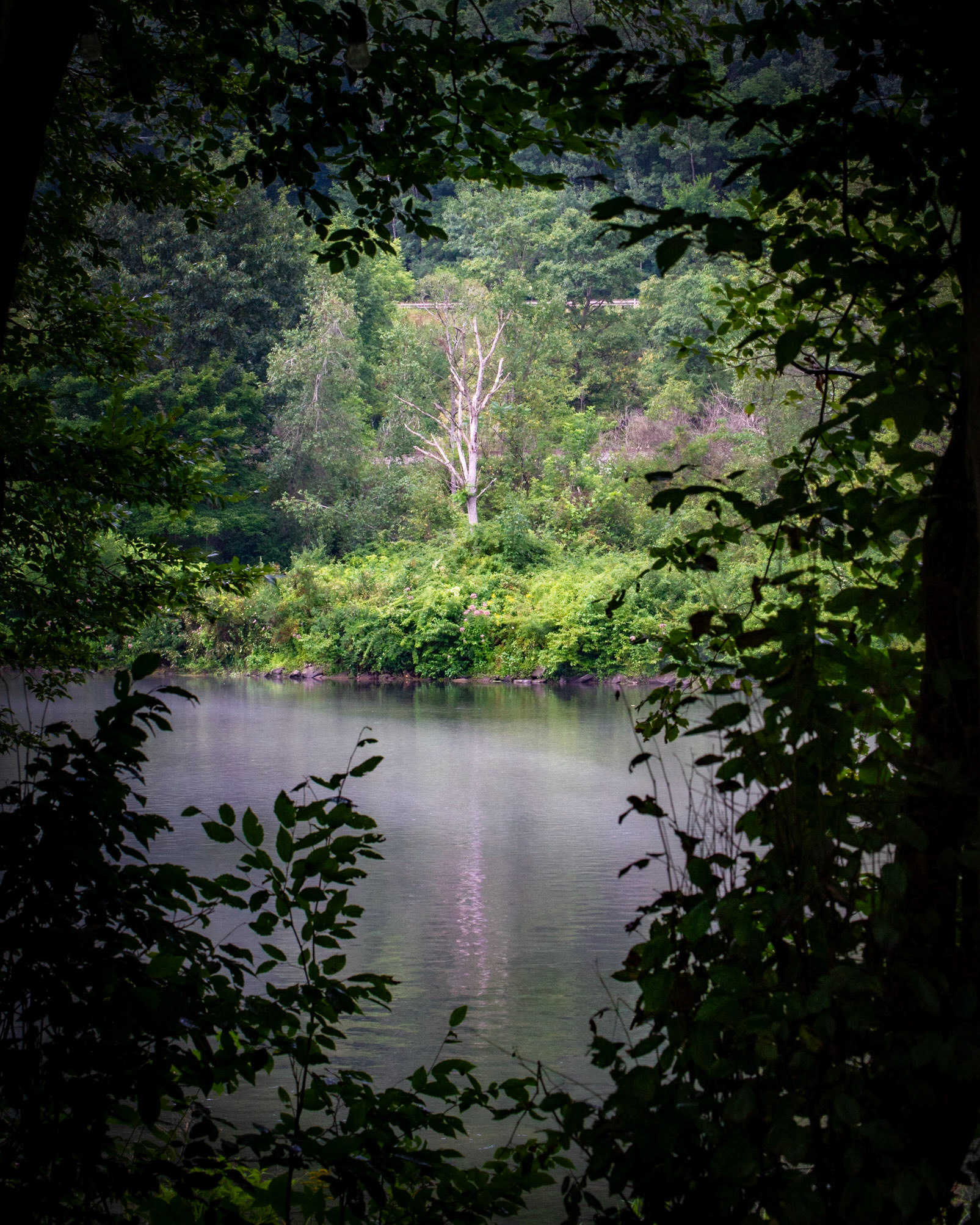 Delaware River, NY