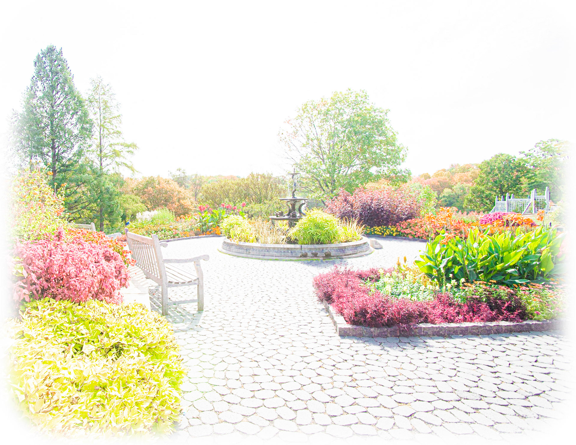 Essence of Autumn