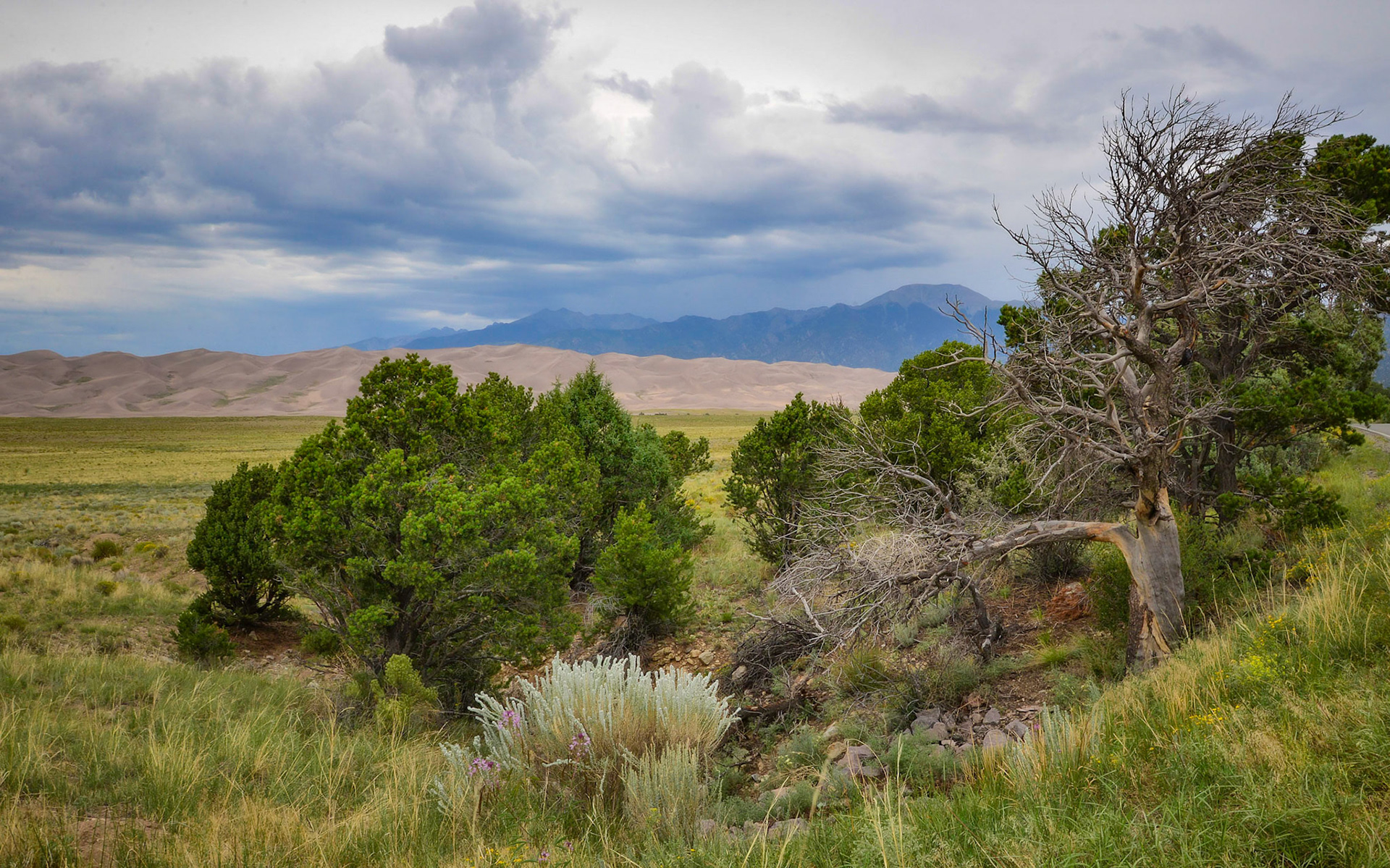 Great Sand Dunes National Park