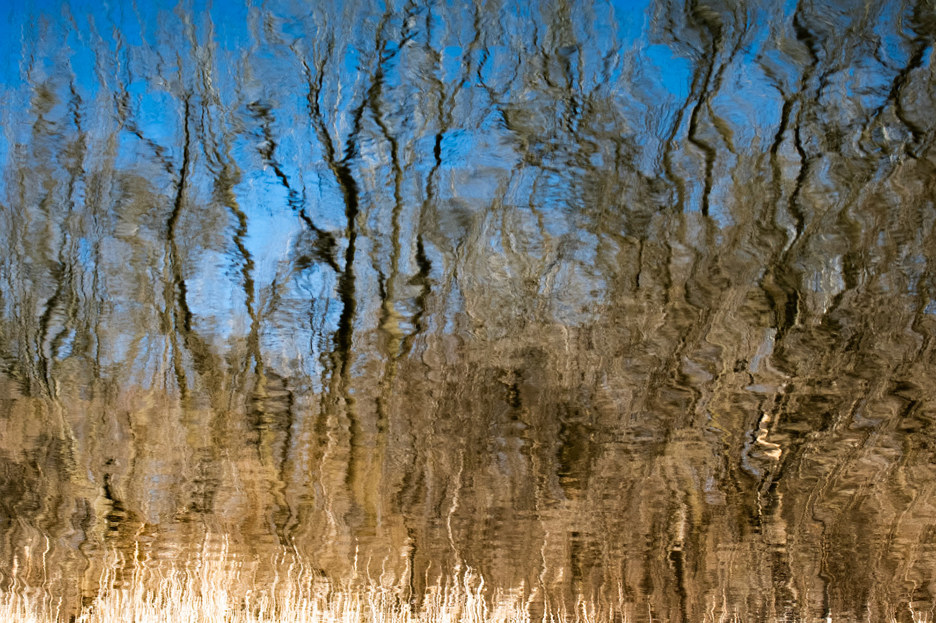 Autumn Shore