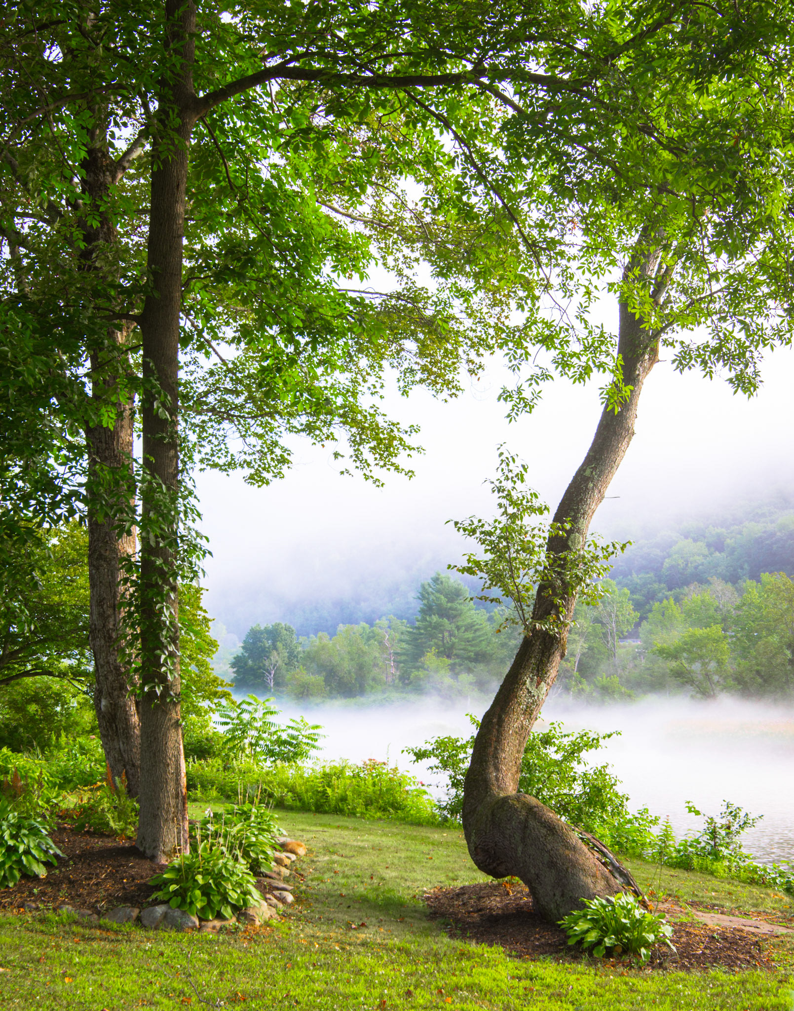 Delaware River, NY
