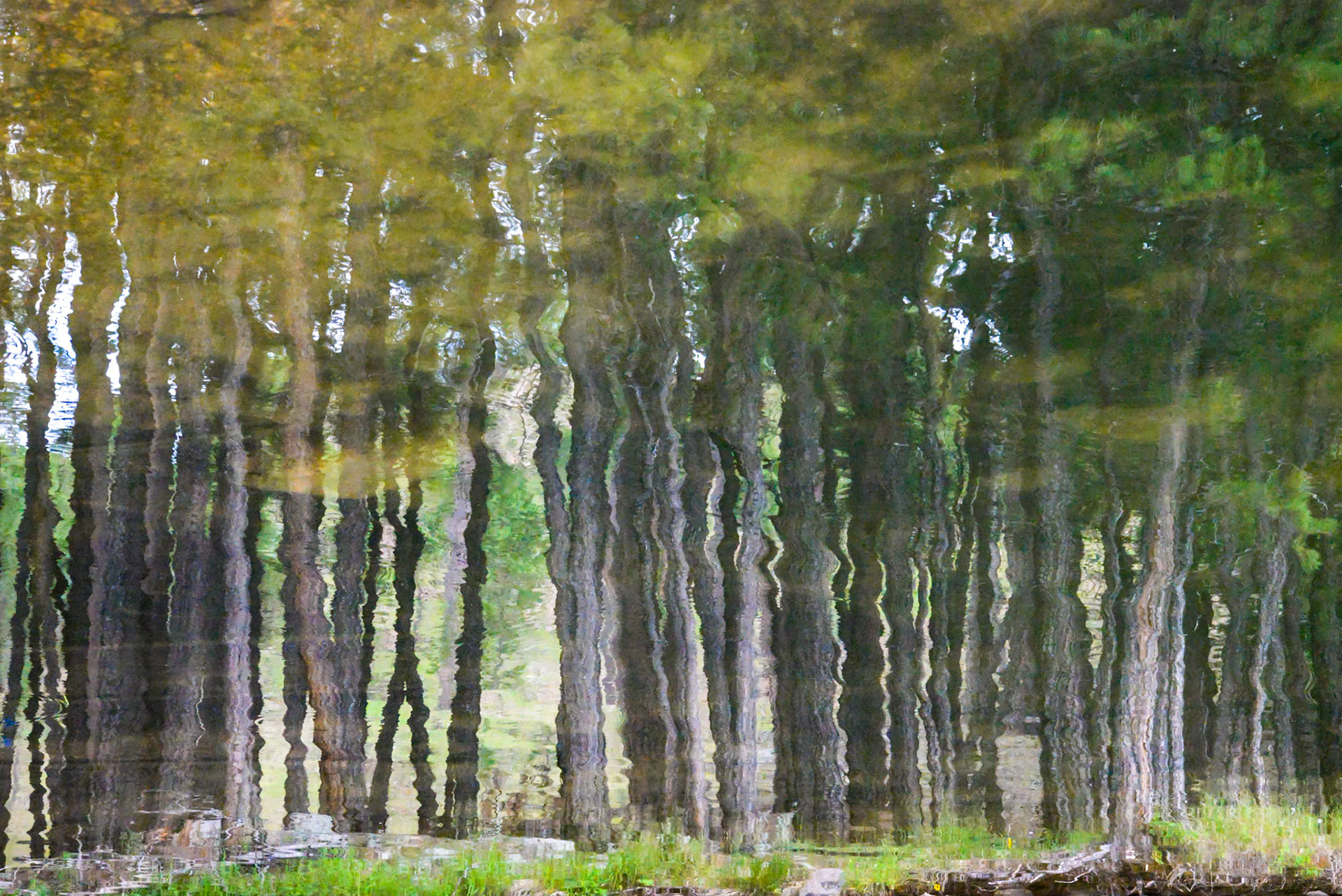Rippled Summer