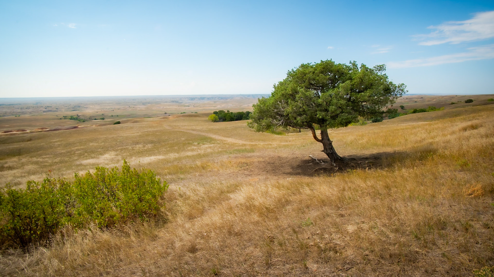 Badlands, SD