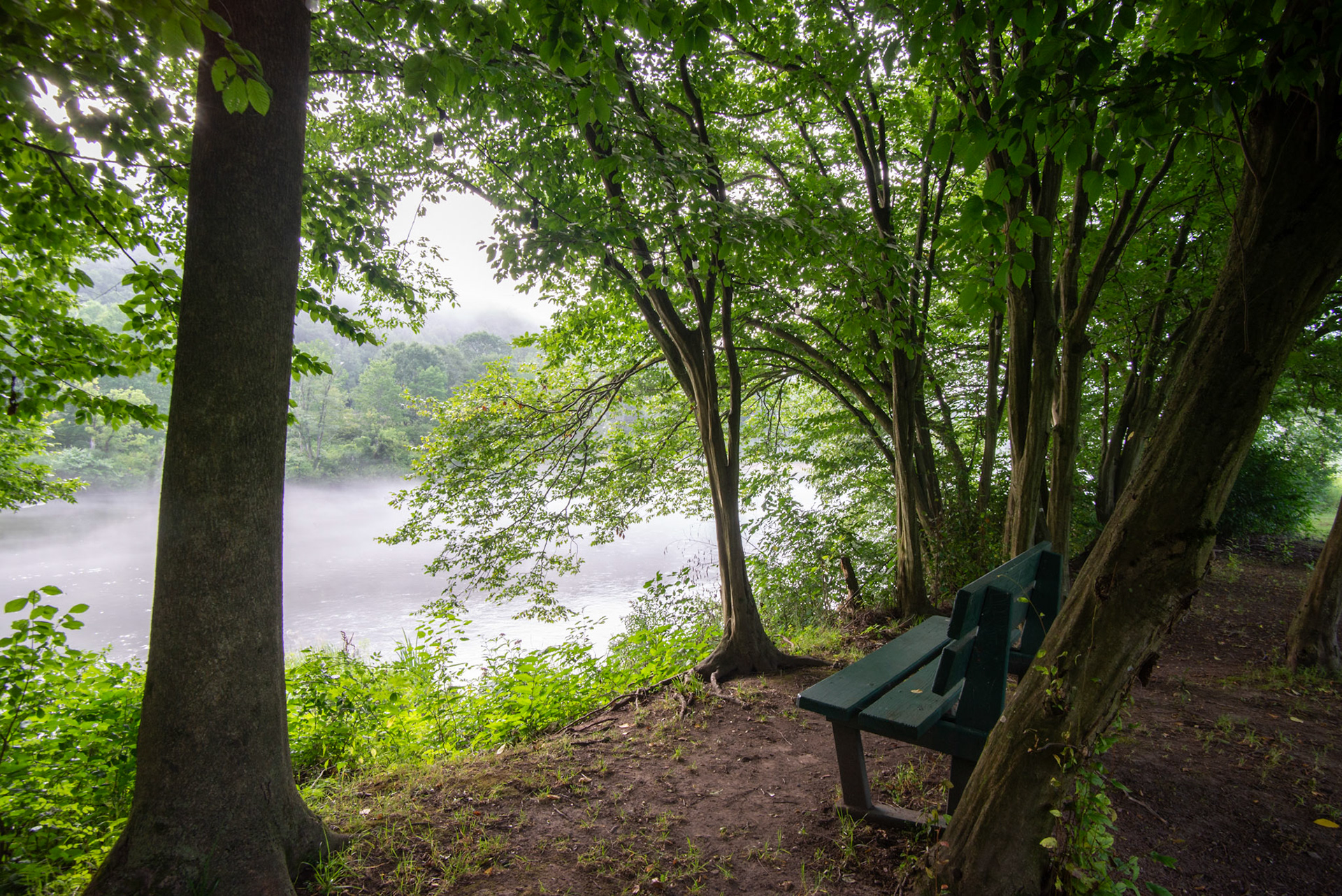 Delaware River, NY