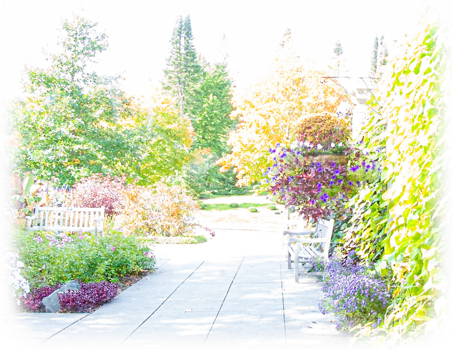 Arboretum Essence