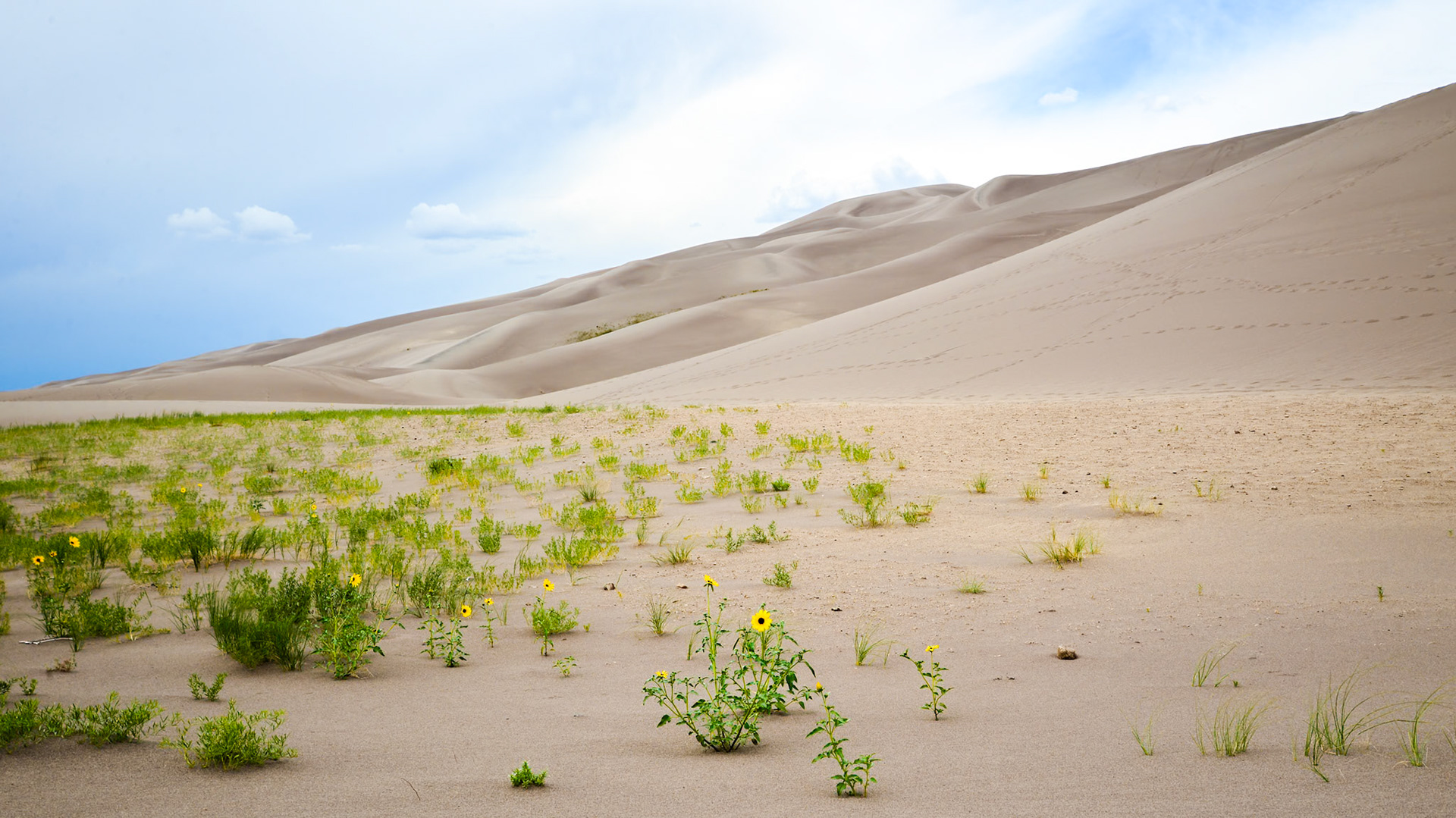 Great Sand Dunes National Park