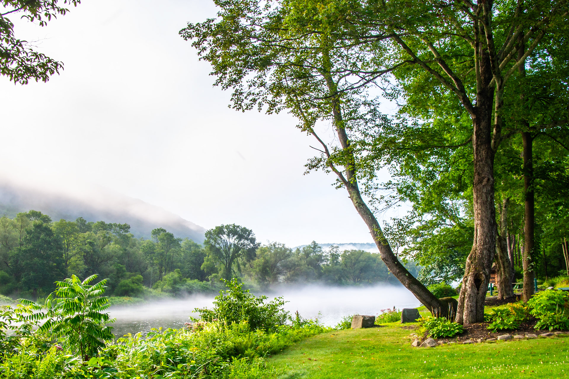 Delaware River, NY