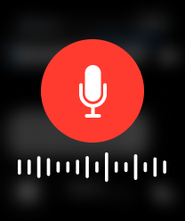 Record Screen