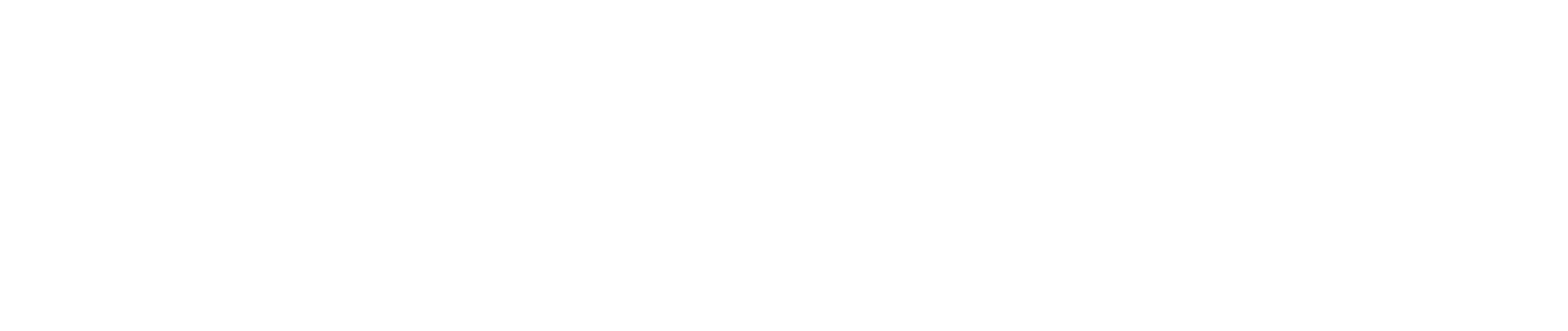 Purpose Branding Strategy
