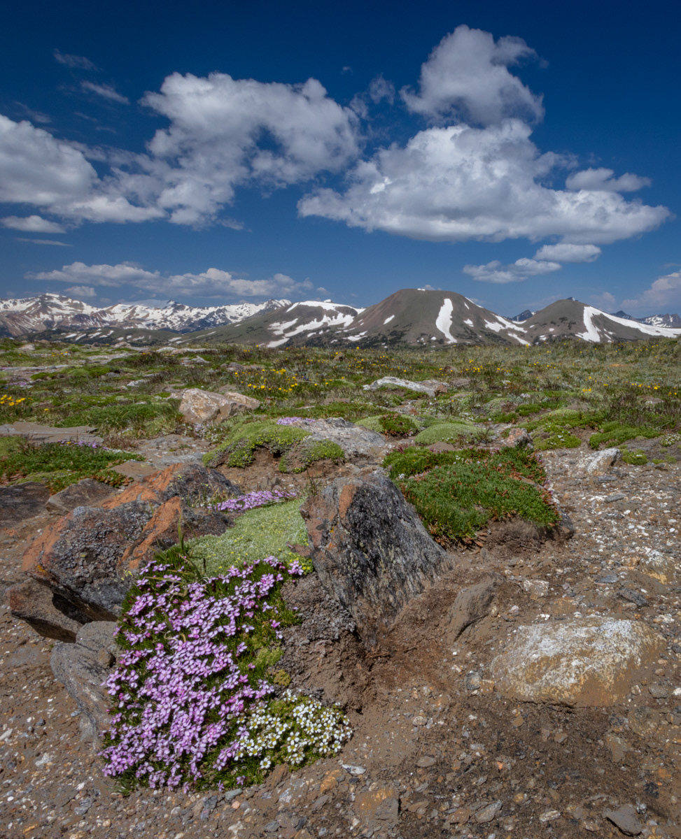 Rocky Mountain National Park
