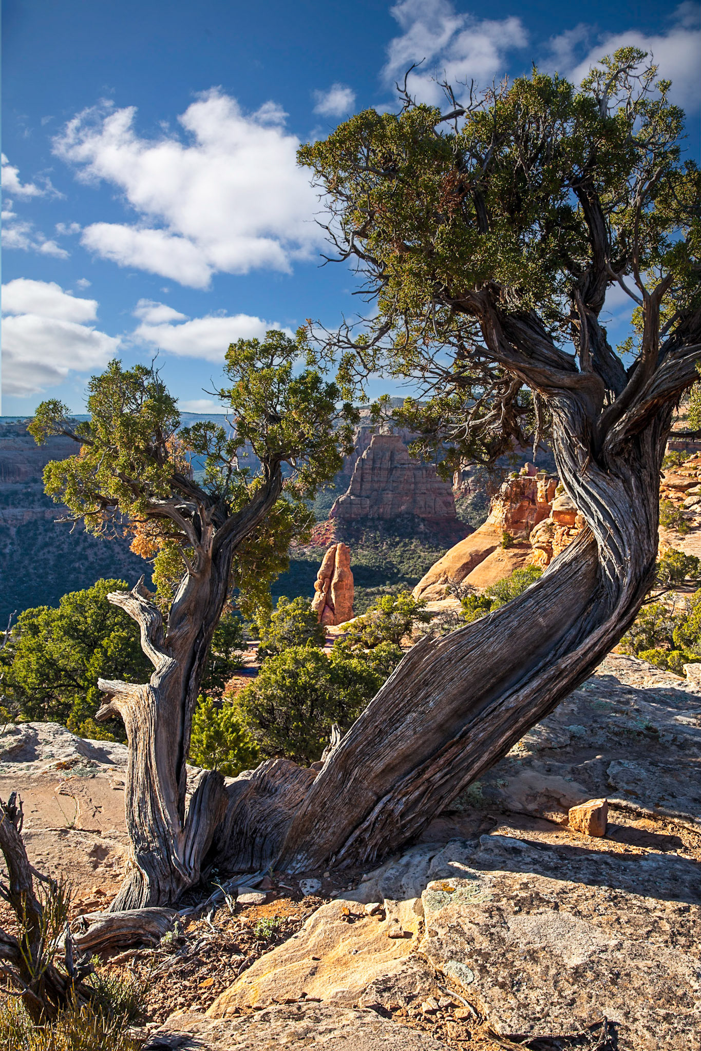 Colorado National Monument