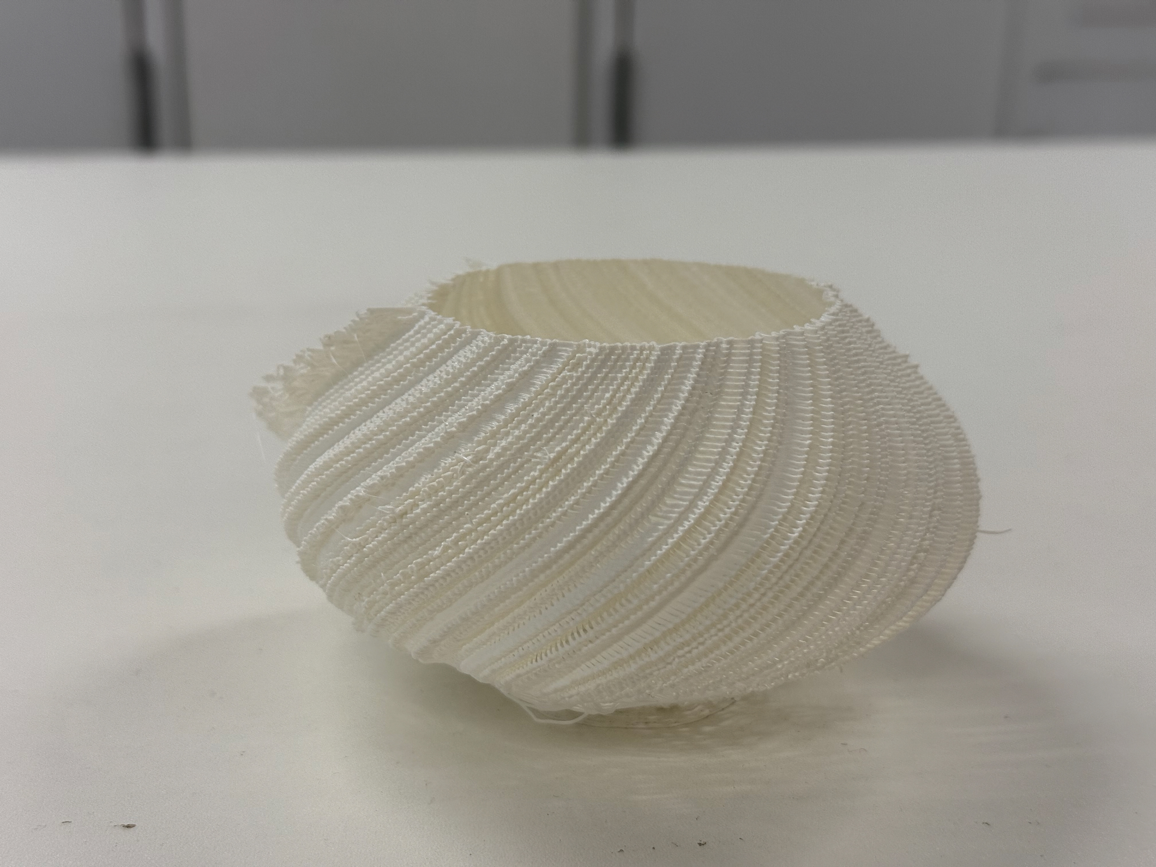 Finished Print