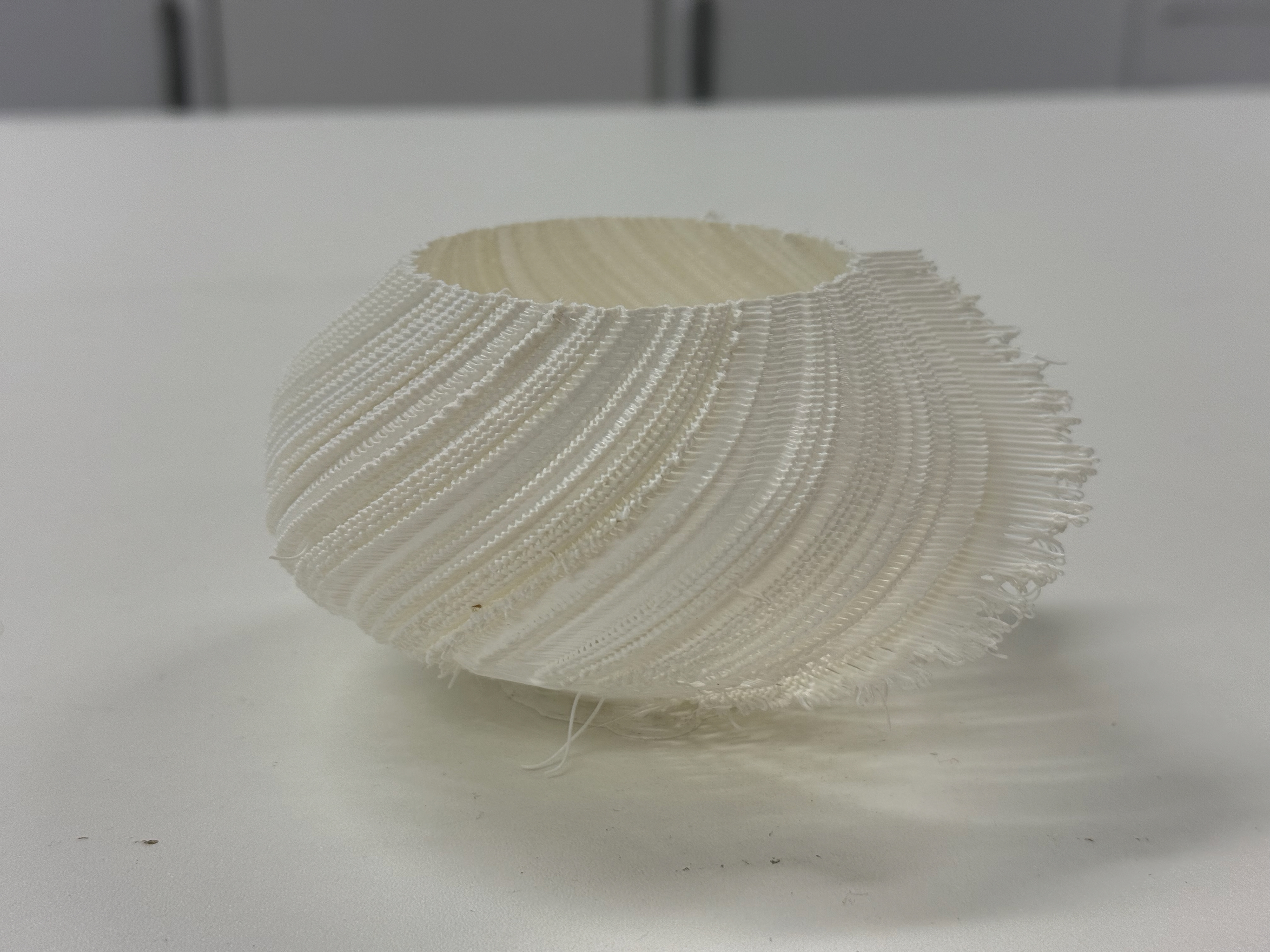 Finished Print