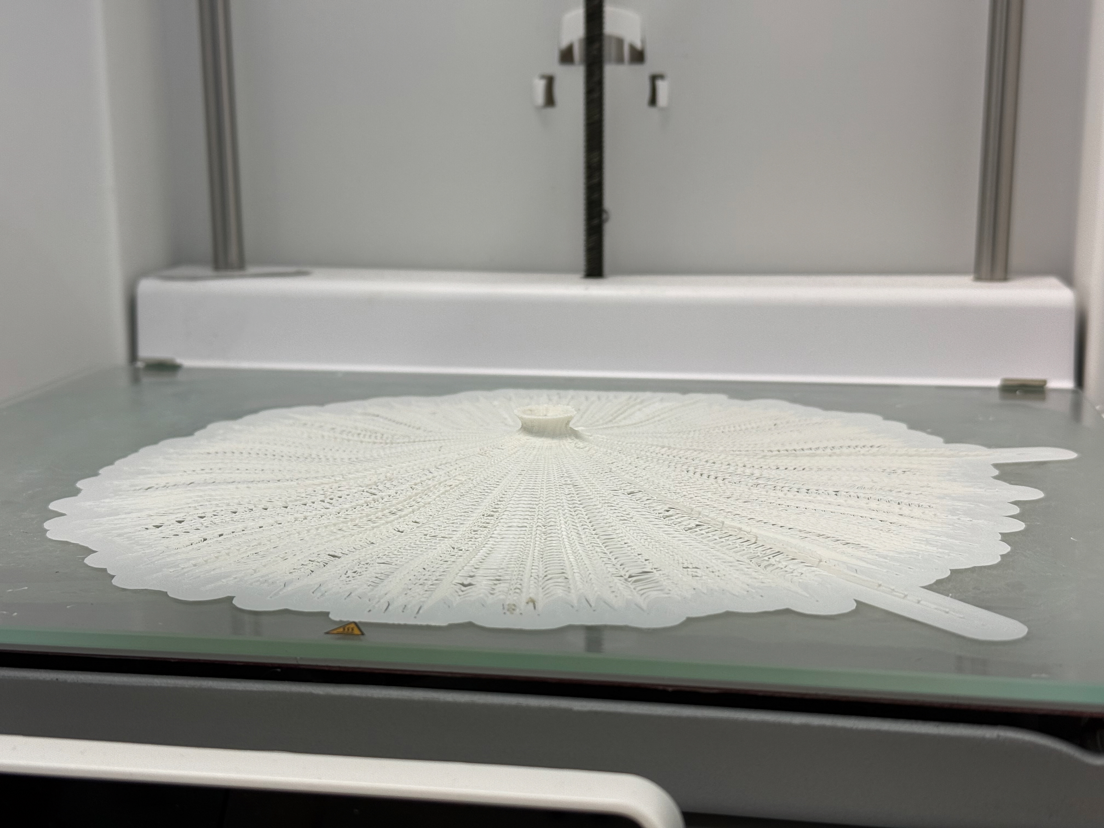 Finished print on the bed