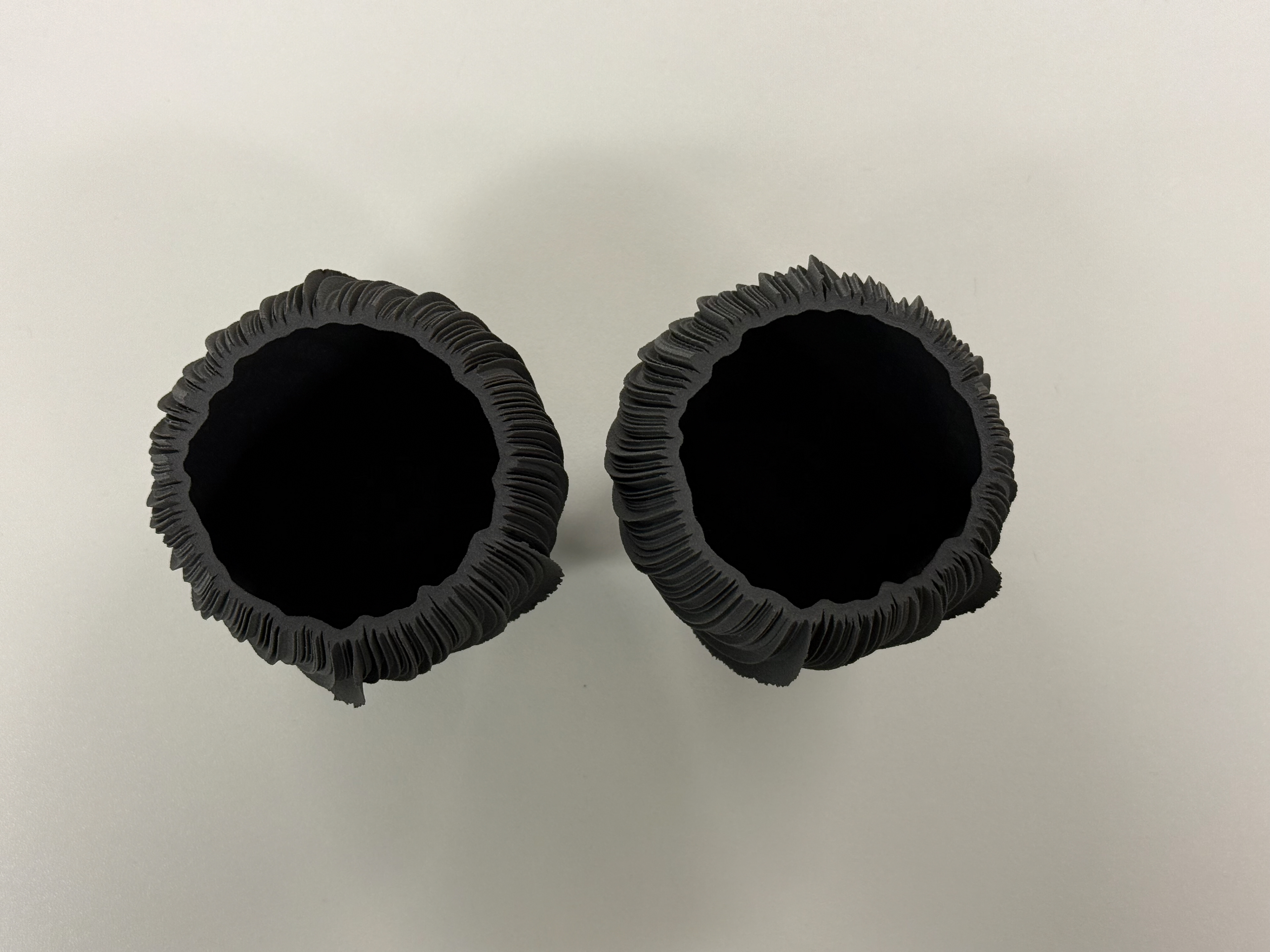 The two identical prints