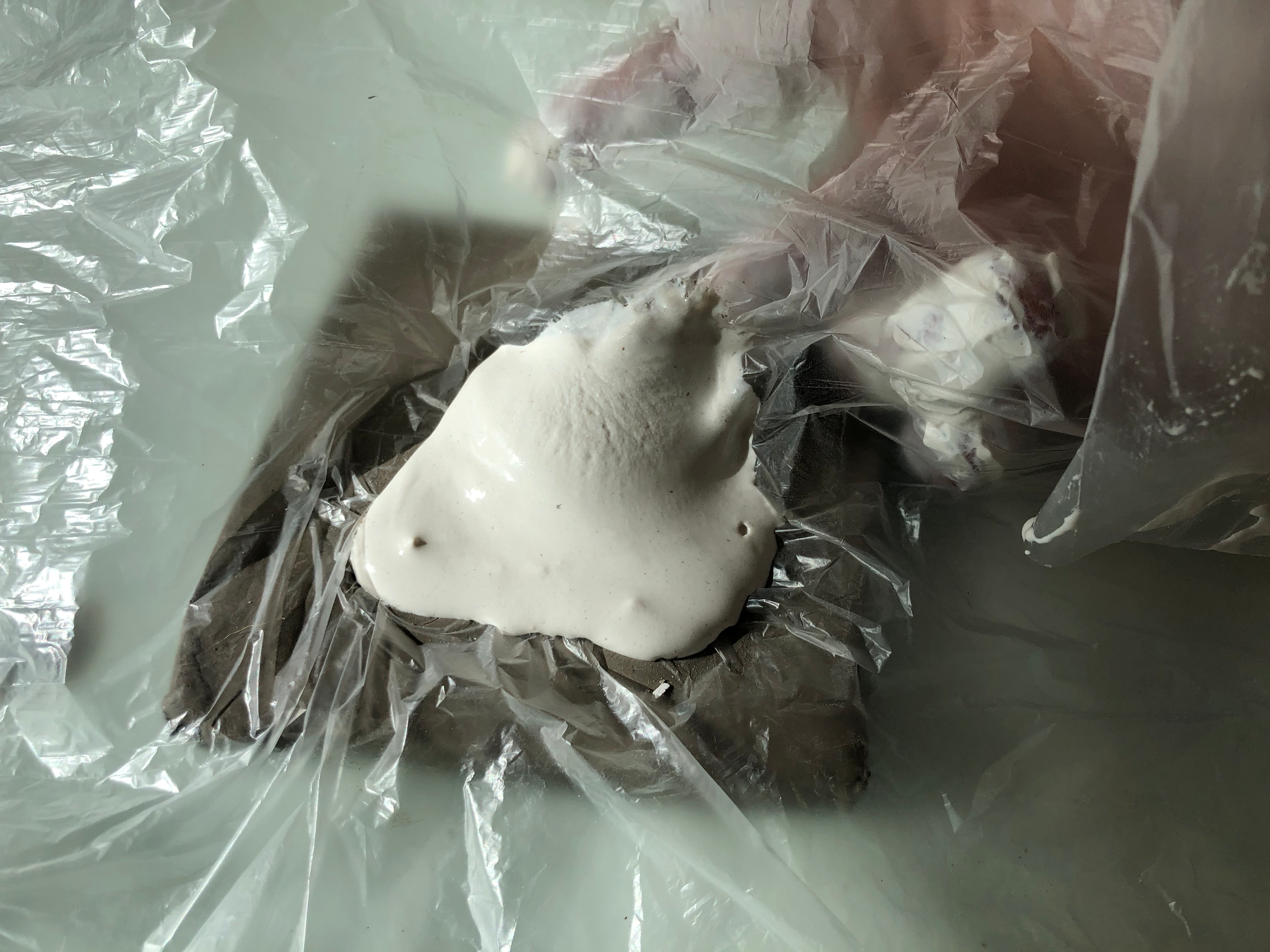 After pouring plaster and waiting for it to nearly set I lifted and created folds.