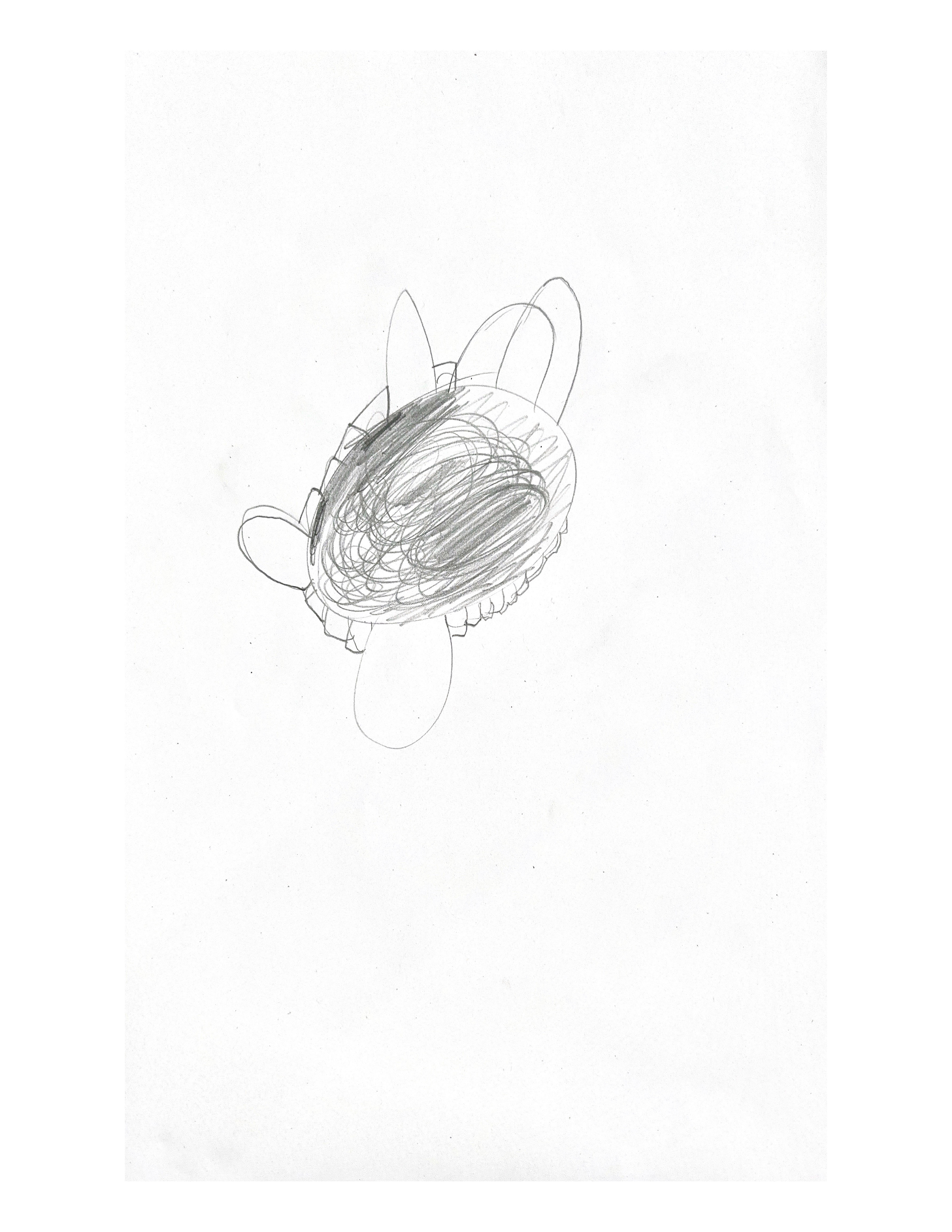 Initial Sketch