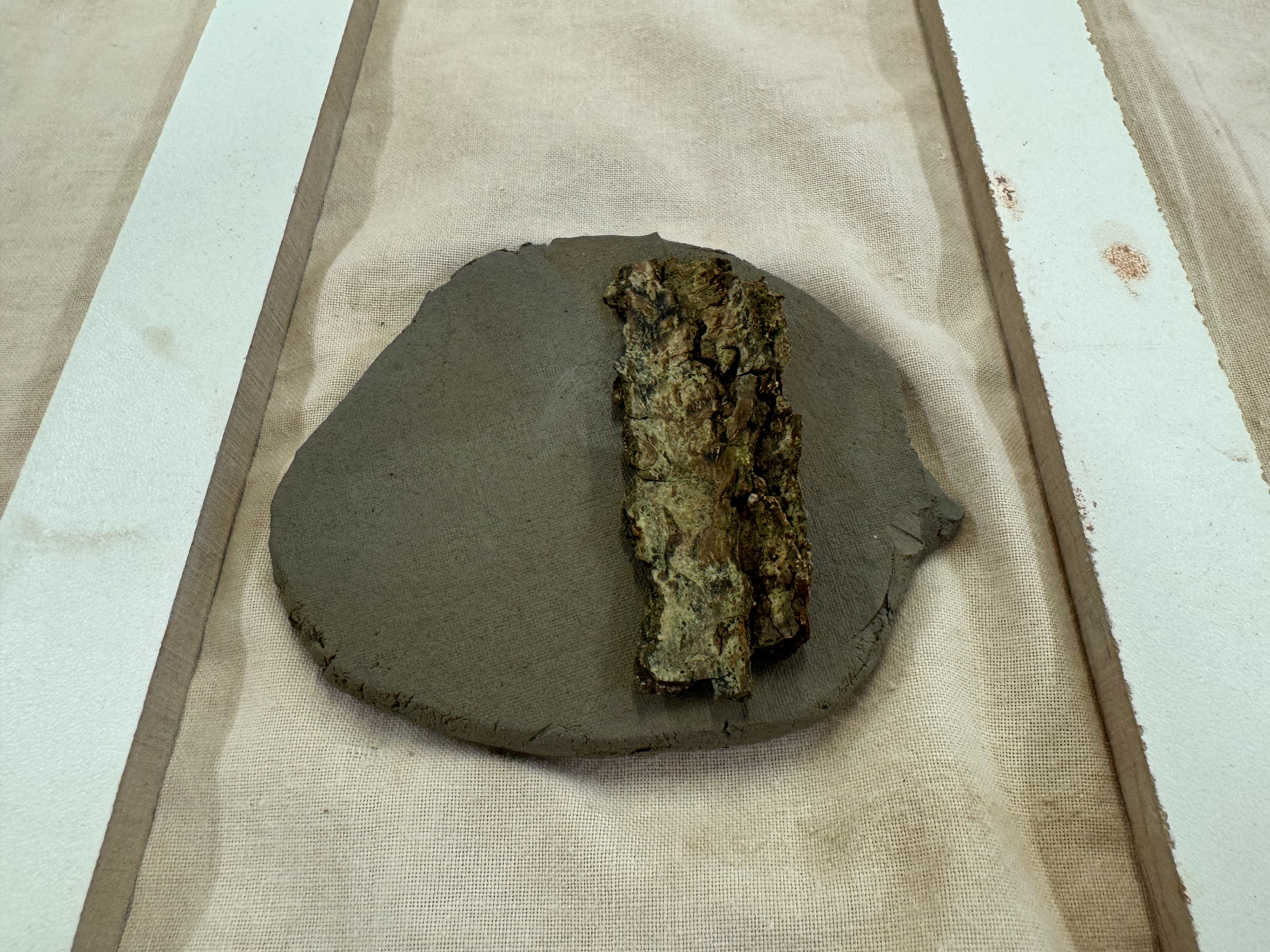 Pushing the bark into the clay