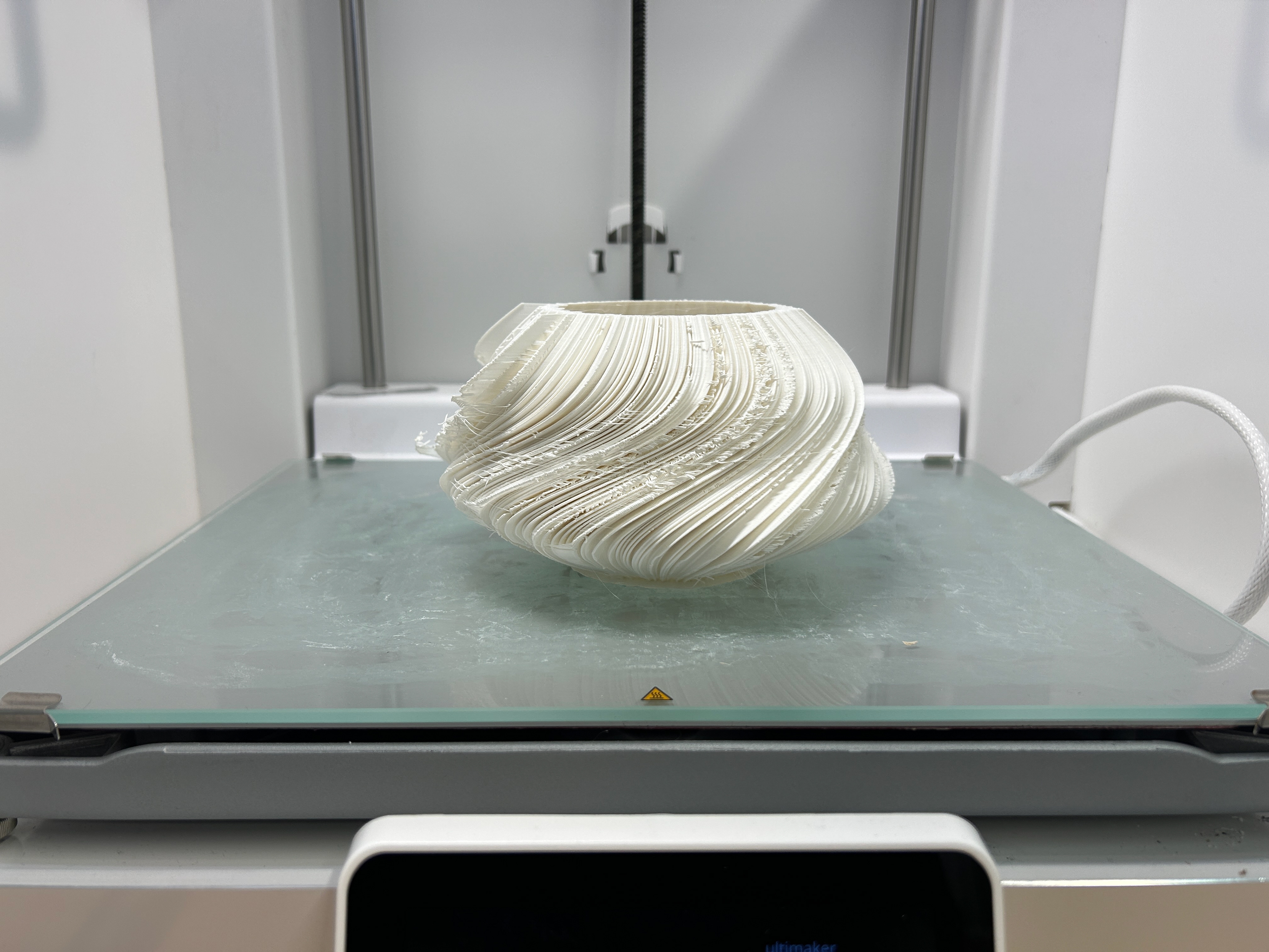 ON the 30cm squared print bed for scale