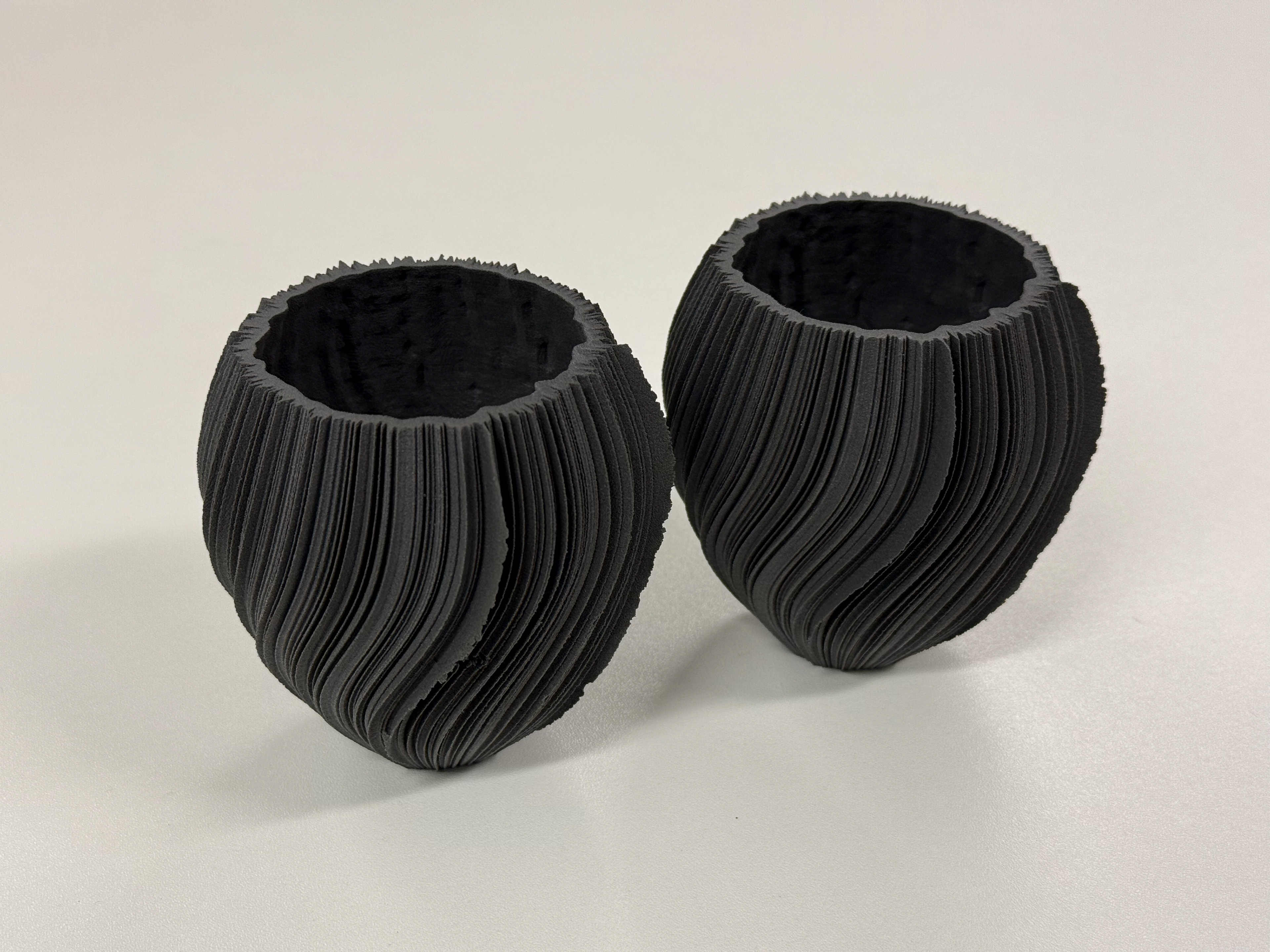The two identical prints