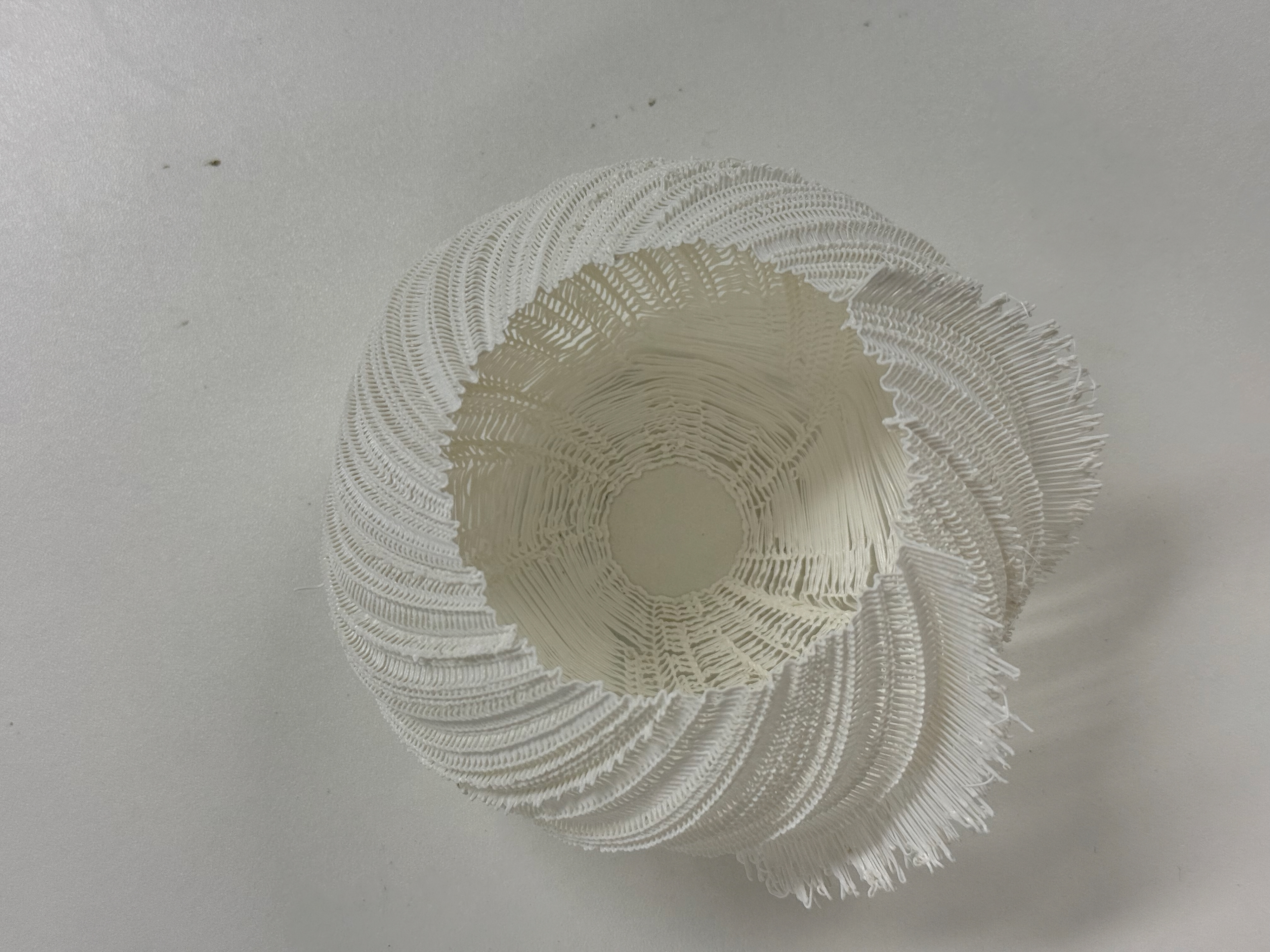 Finished Print