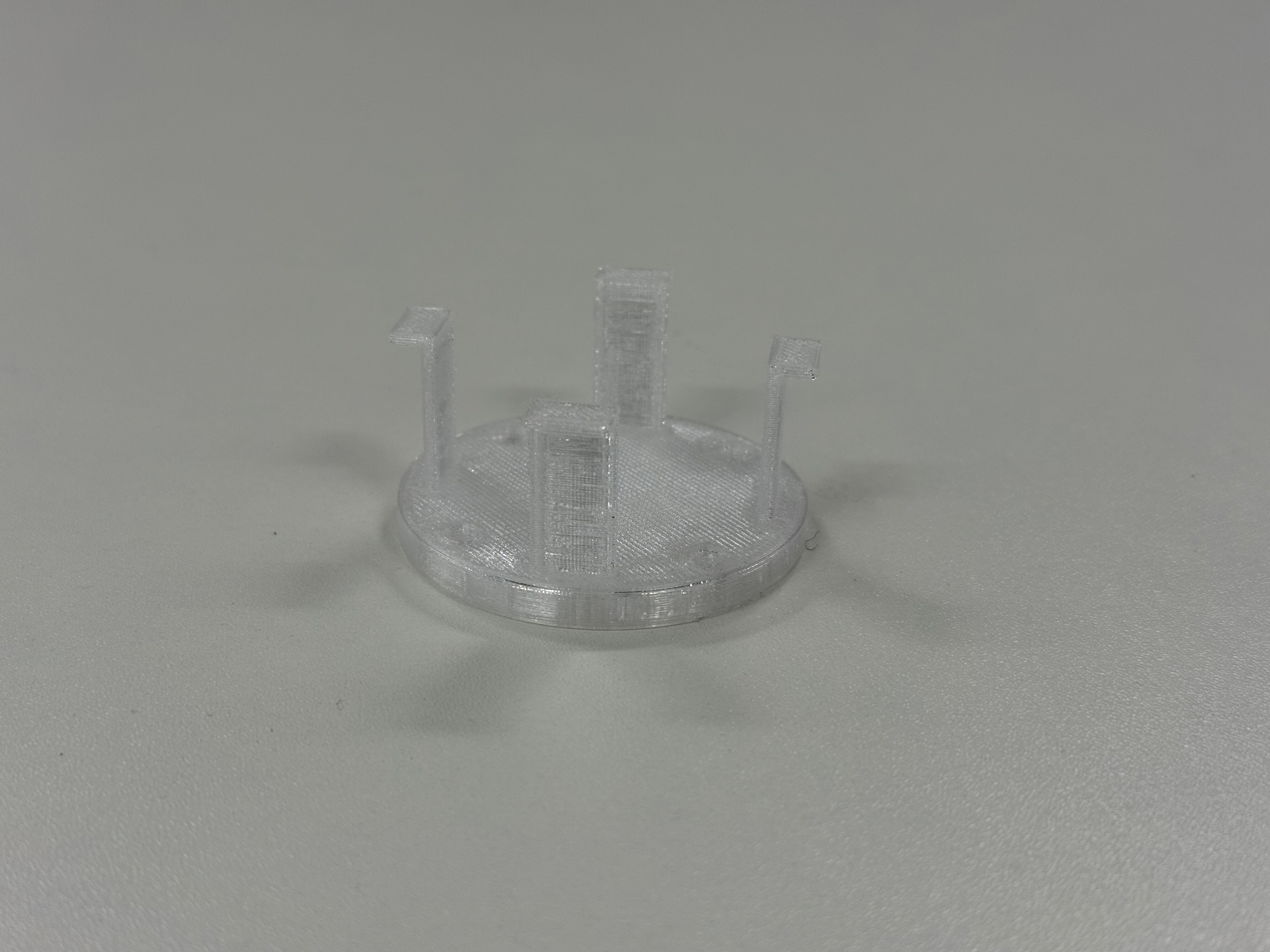 The printed piece