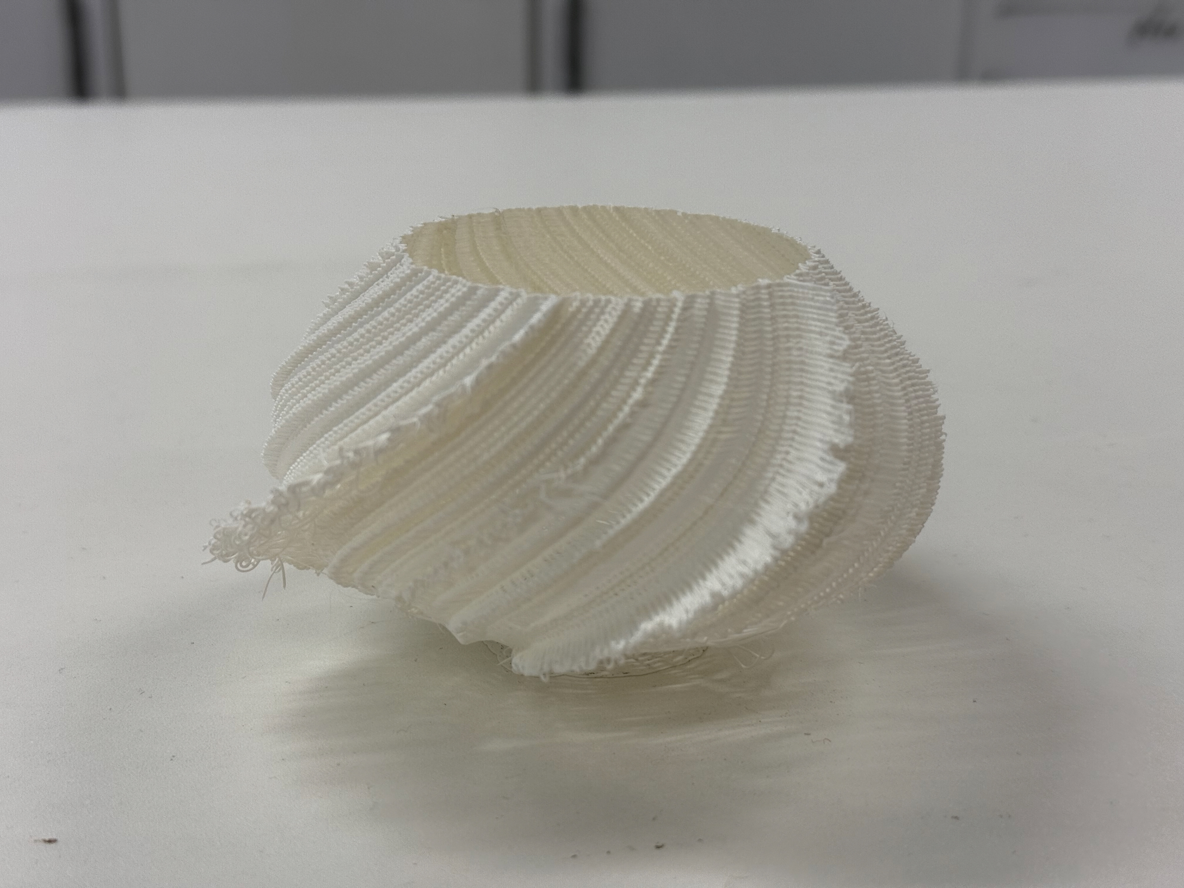 Finished Print