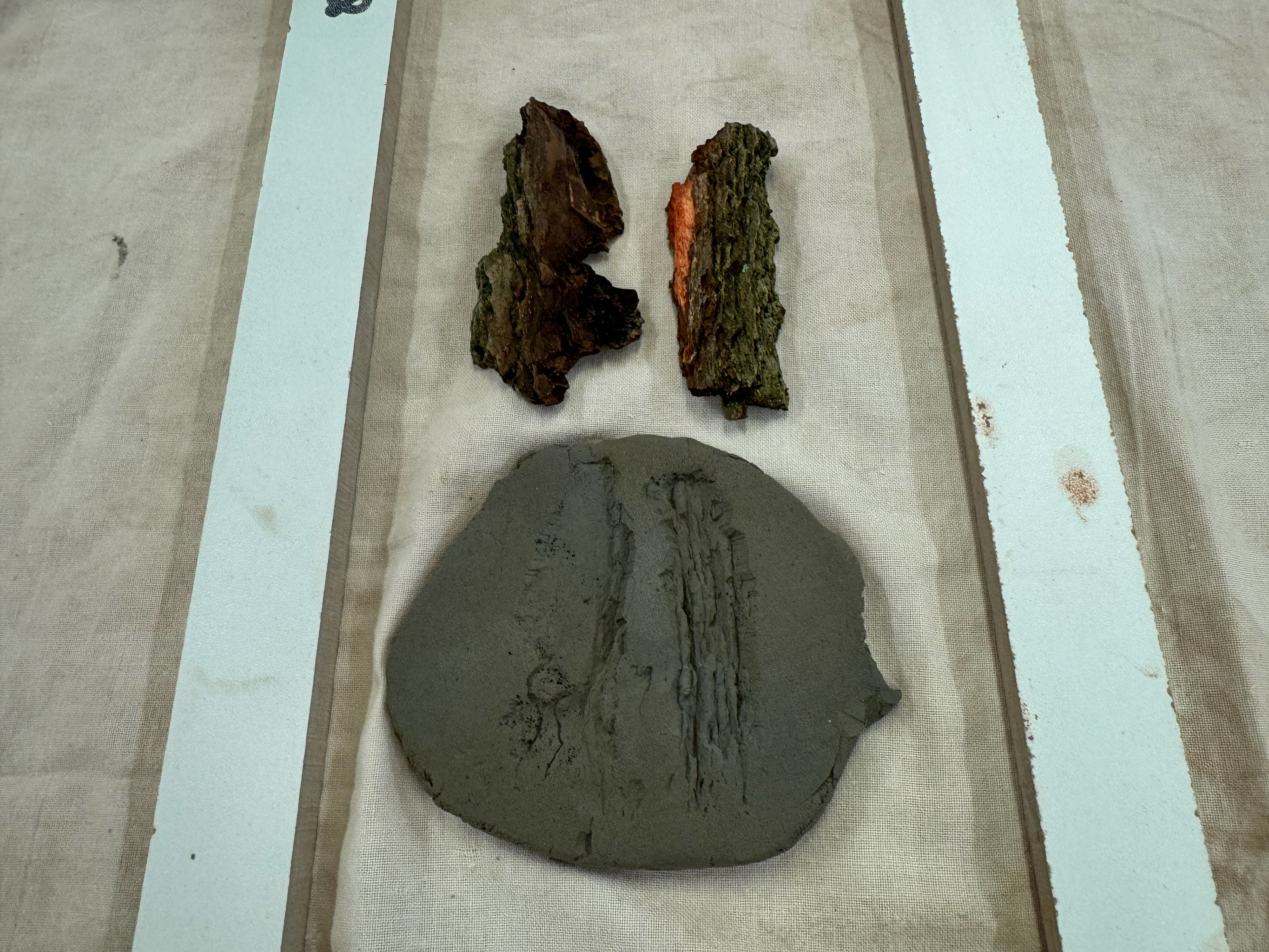 Both imprints