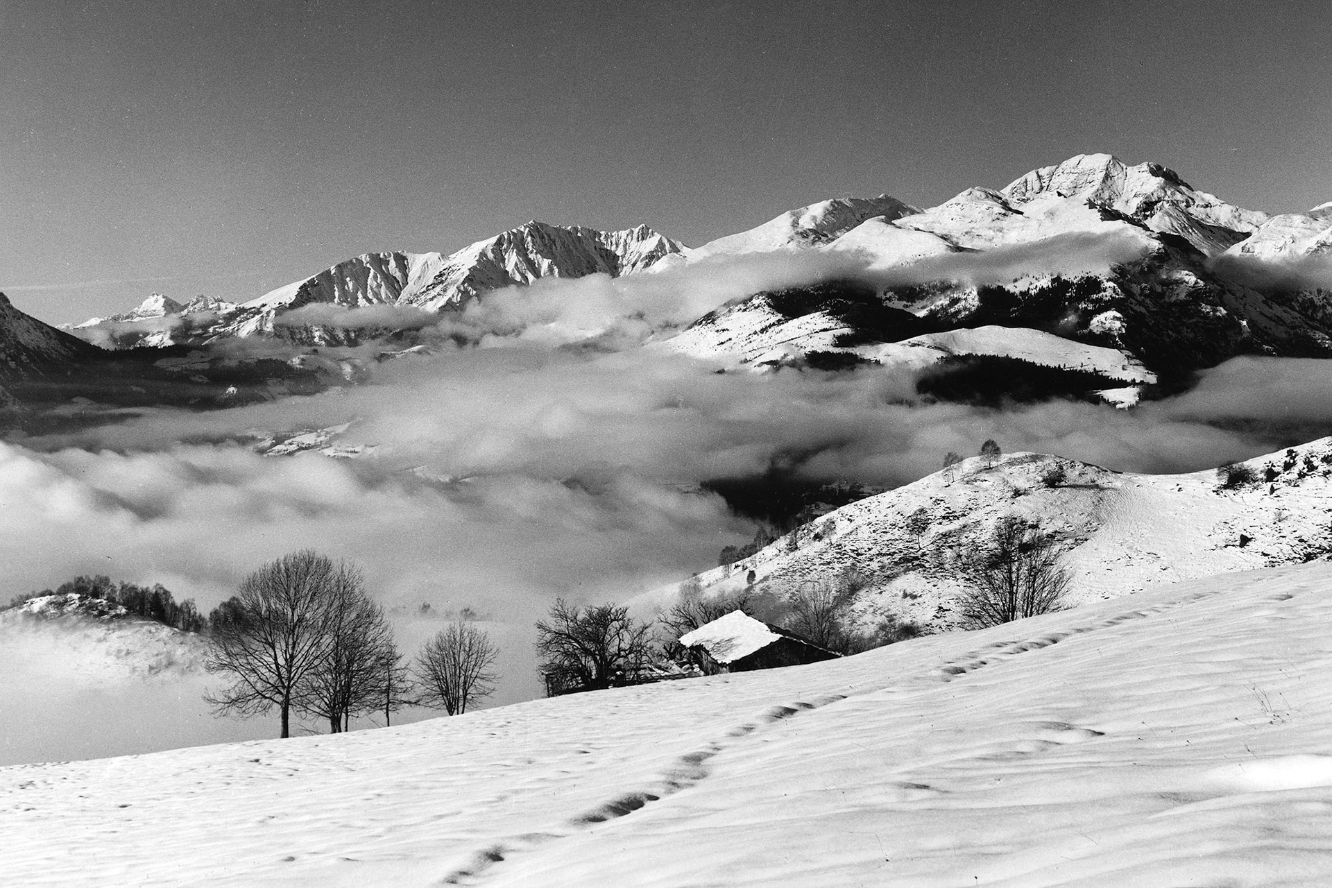 Mt. Arera dalla Montagnina