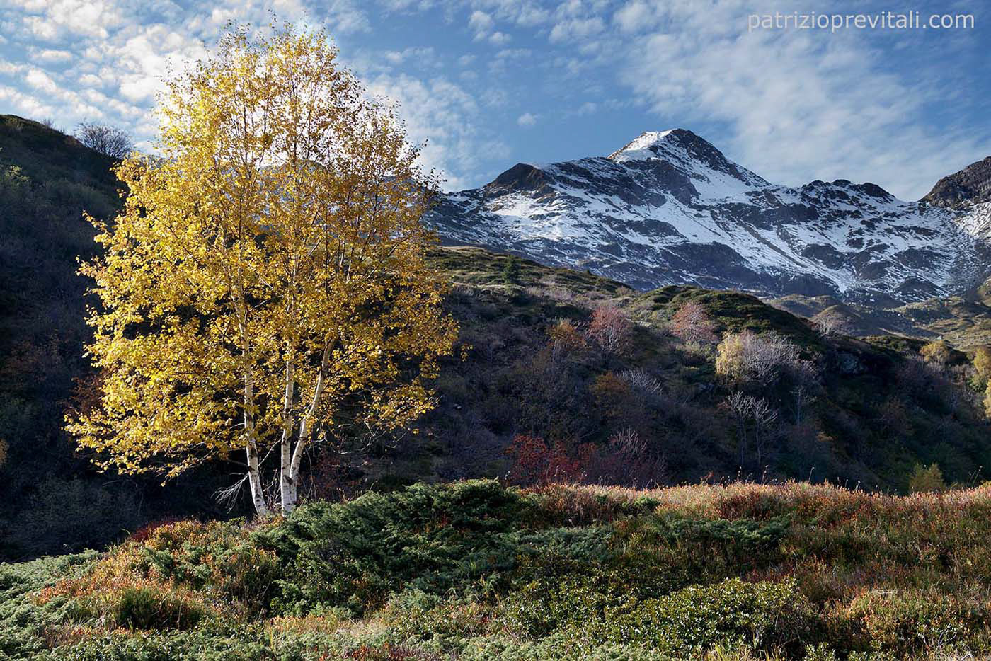 Mt. Madonnino dal Cardeto