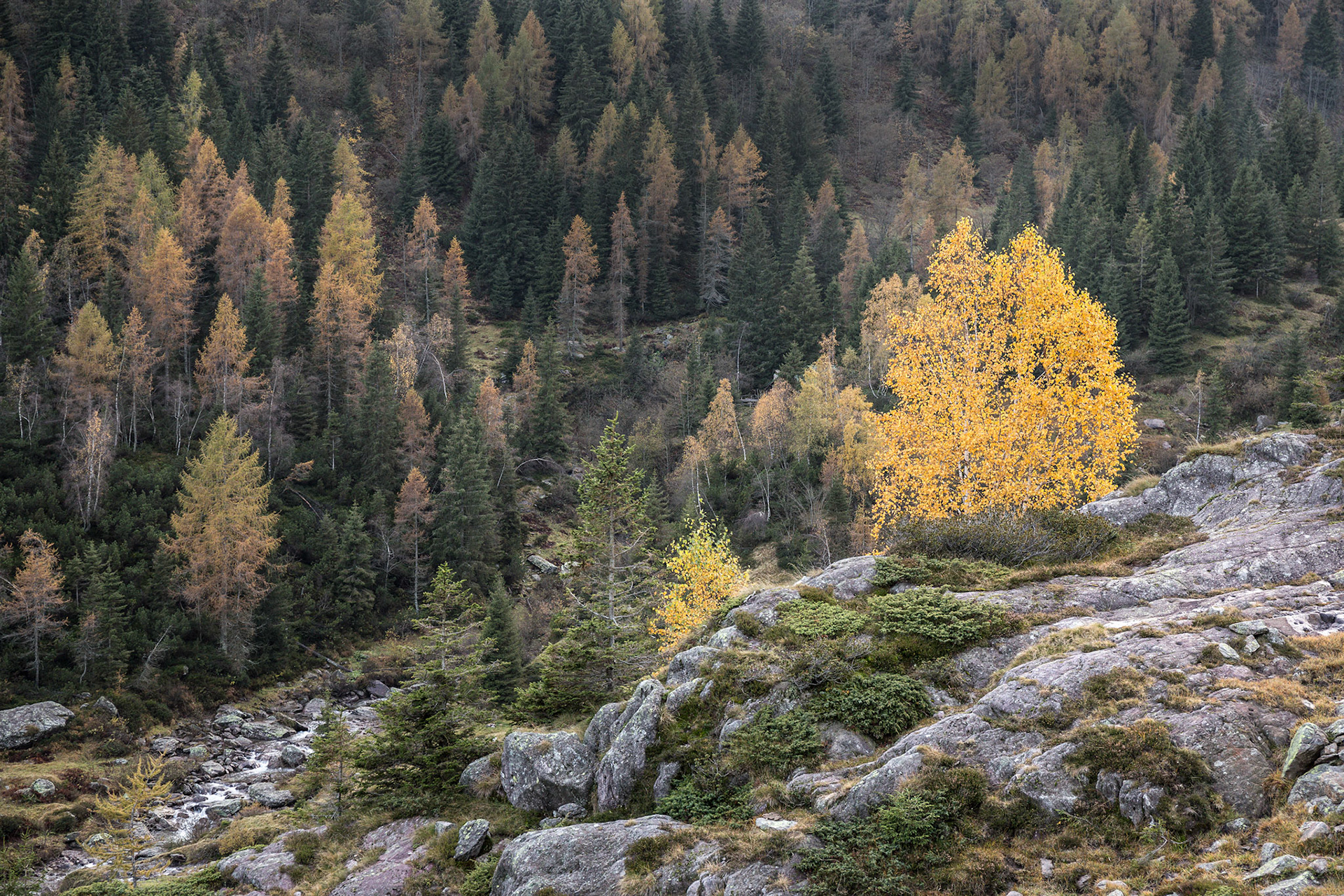Val Sanguigno