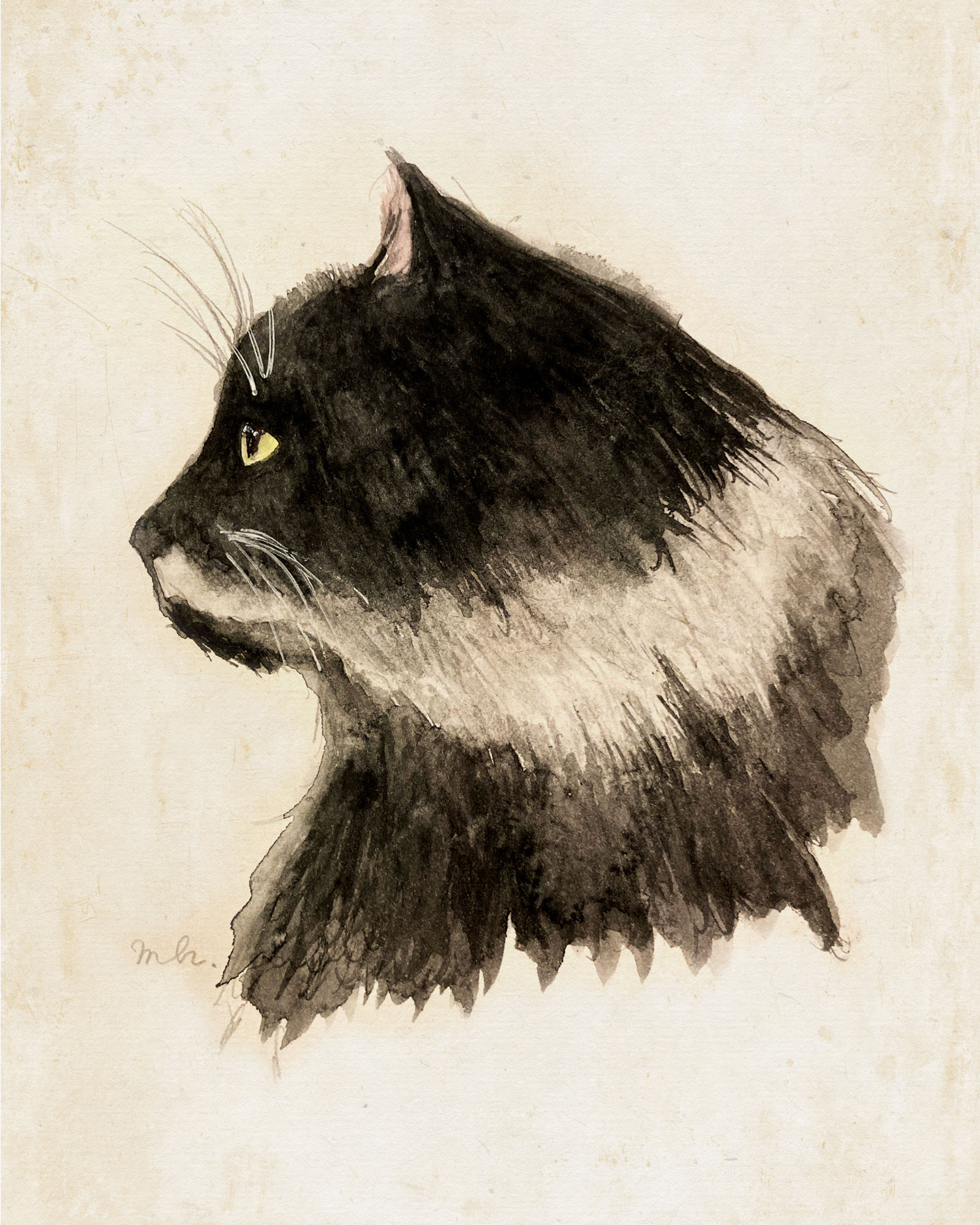 Pip the Tuxedo Cat, Watercolour on paper, 8x10"