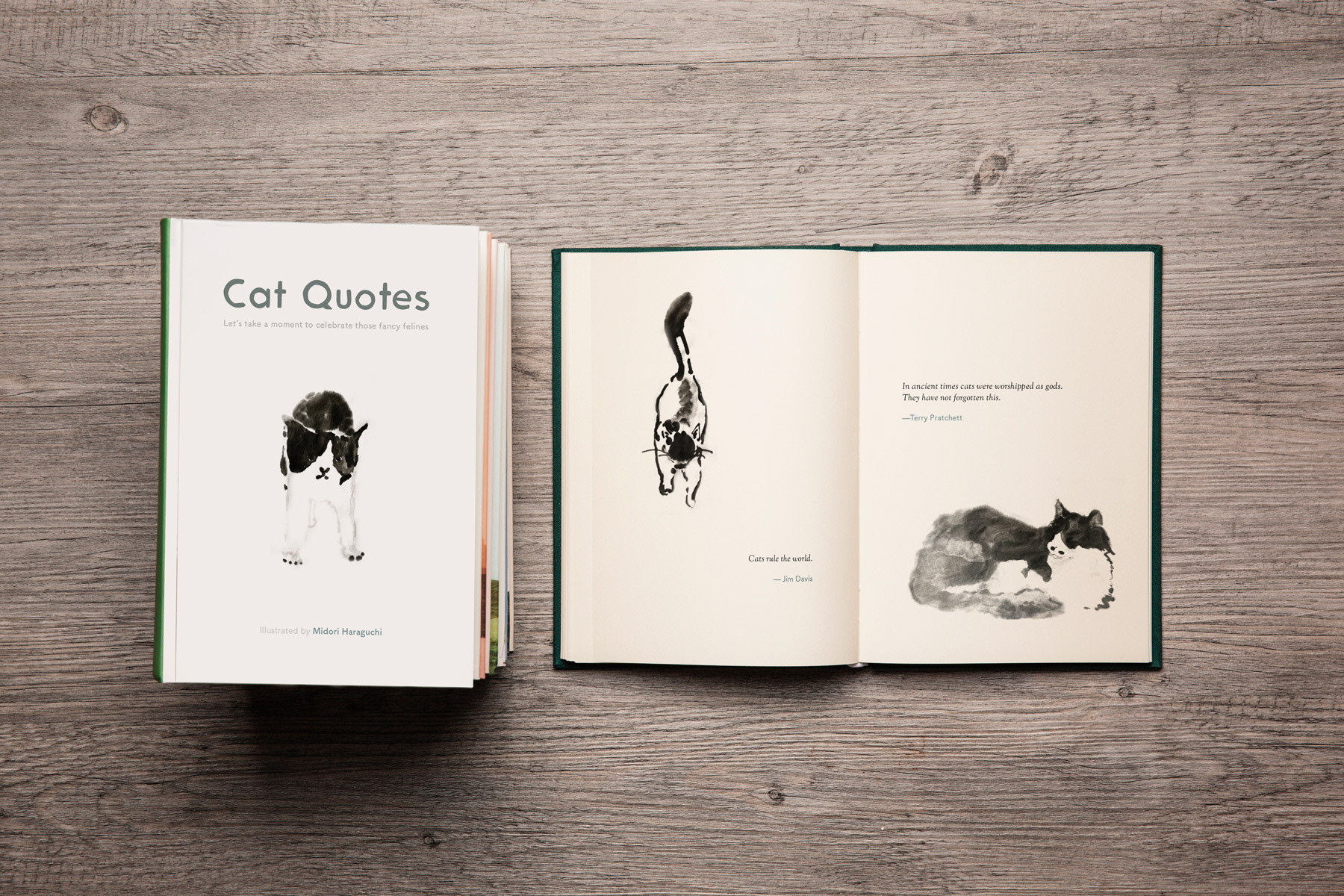 The Book of the Cat: Cats in Art