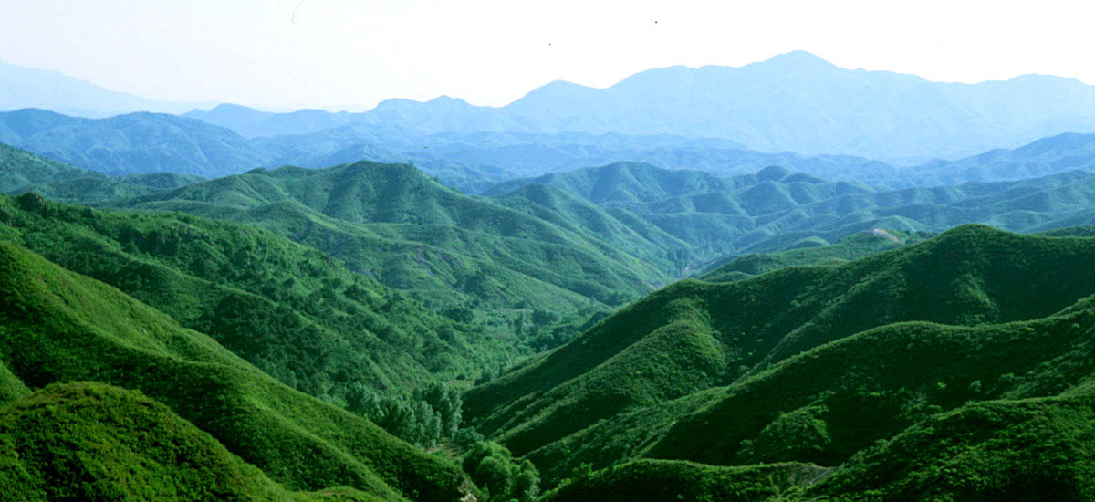 Inner Mongolia