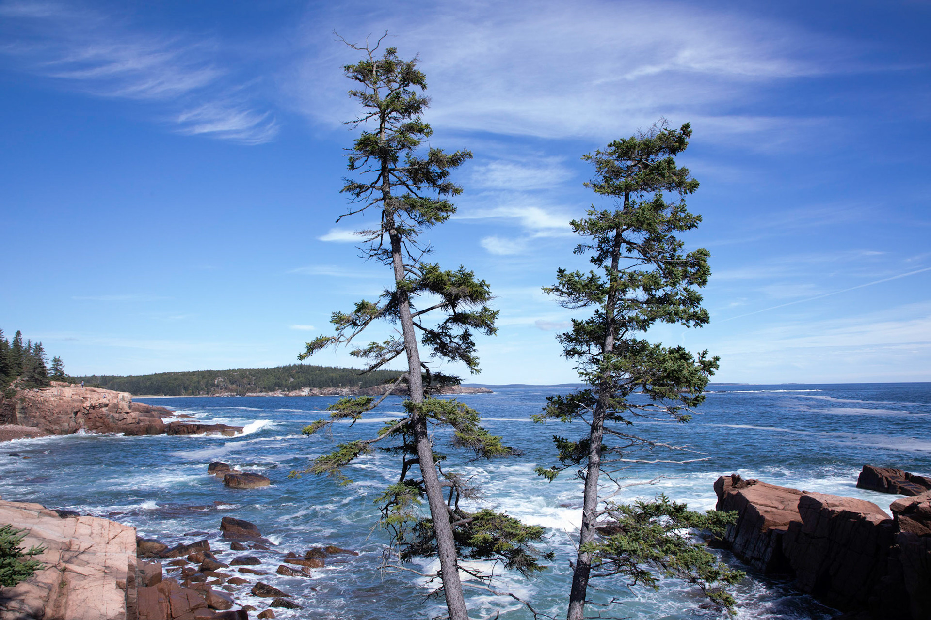 Acadia Shore