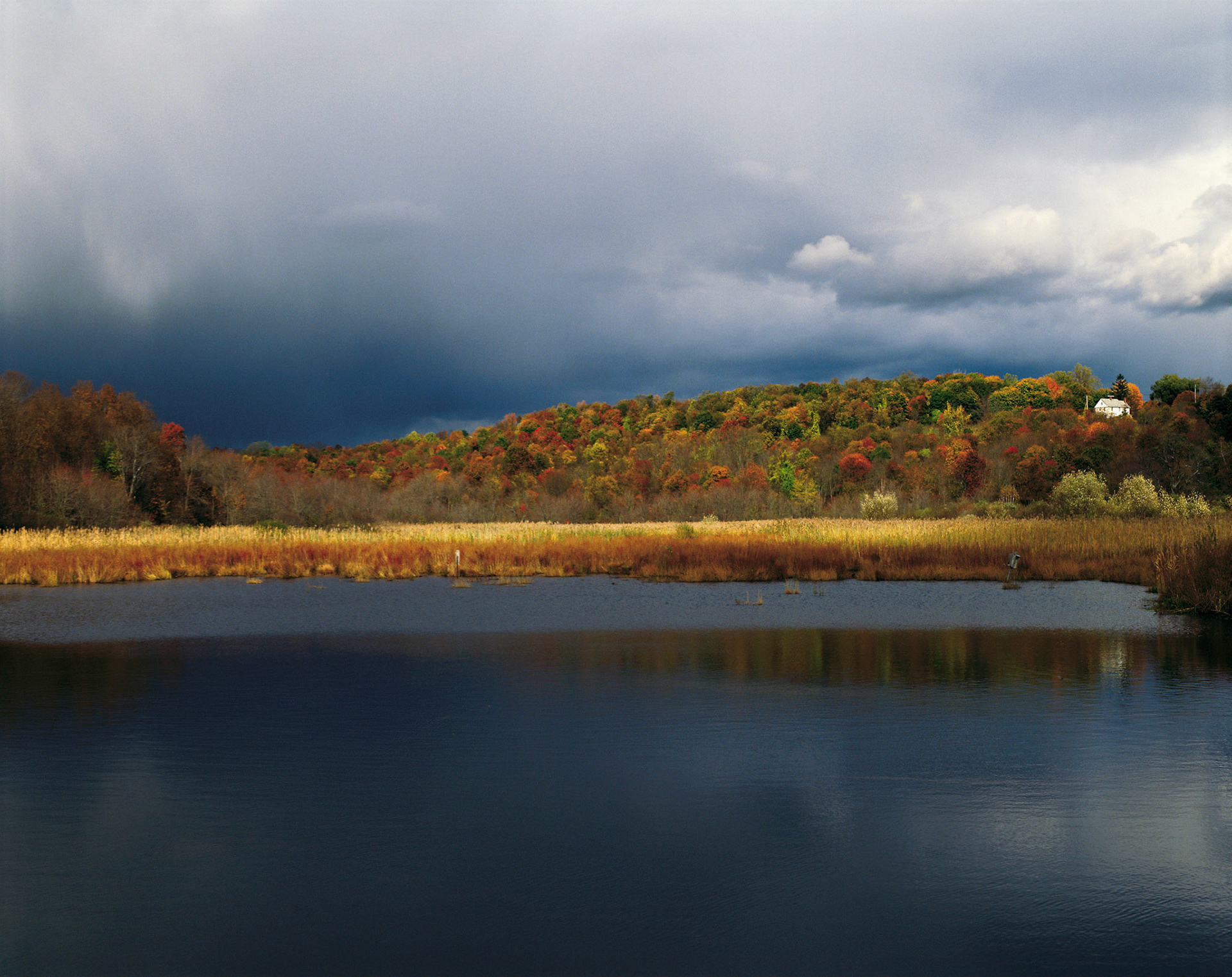The Bog during the Fall
