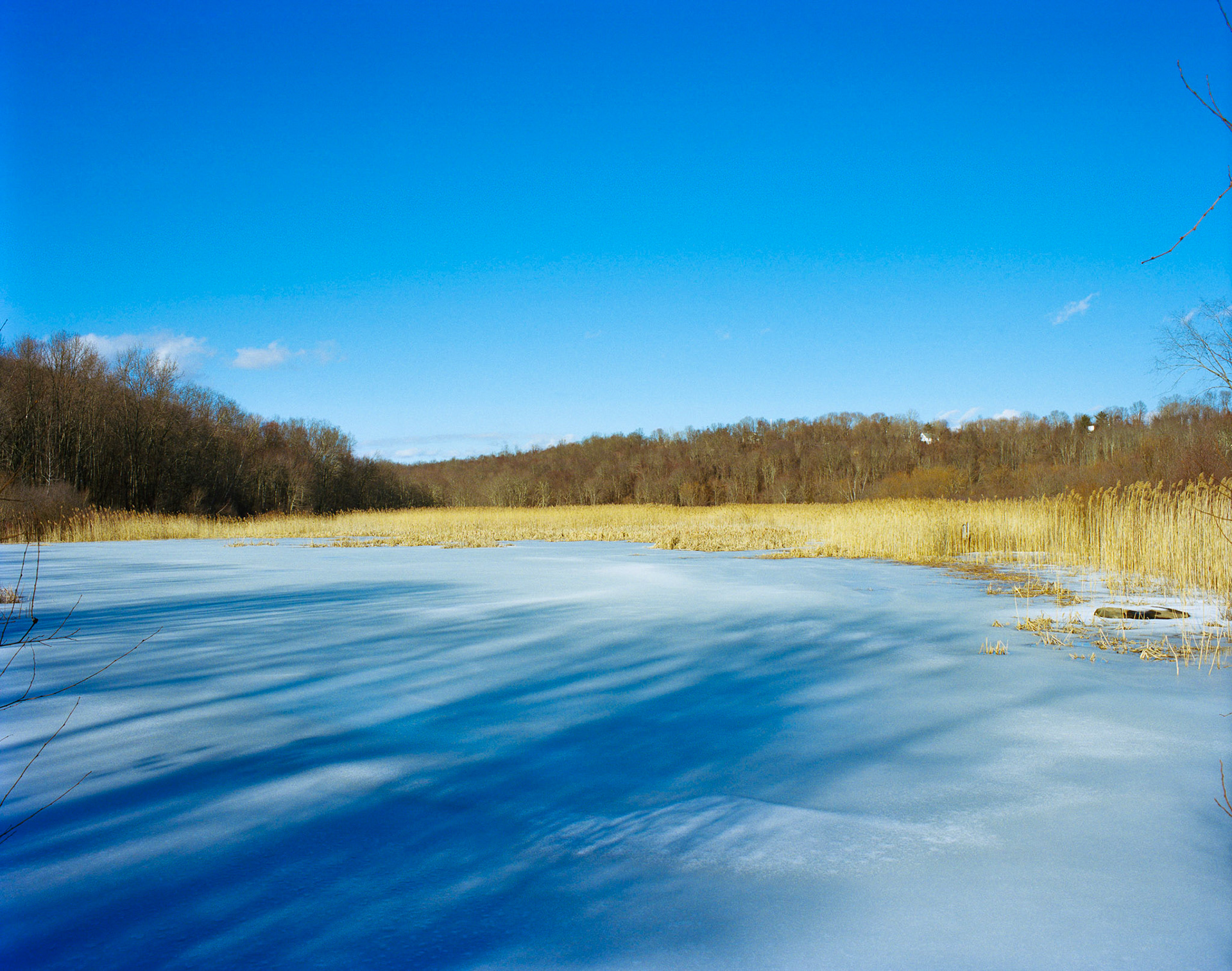 The Bog during the Winter