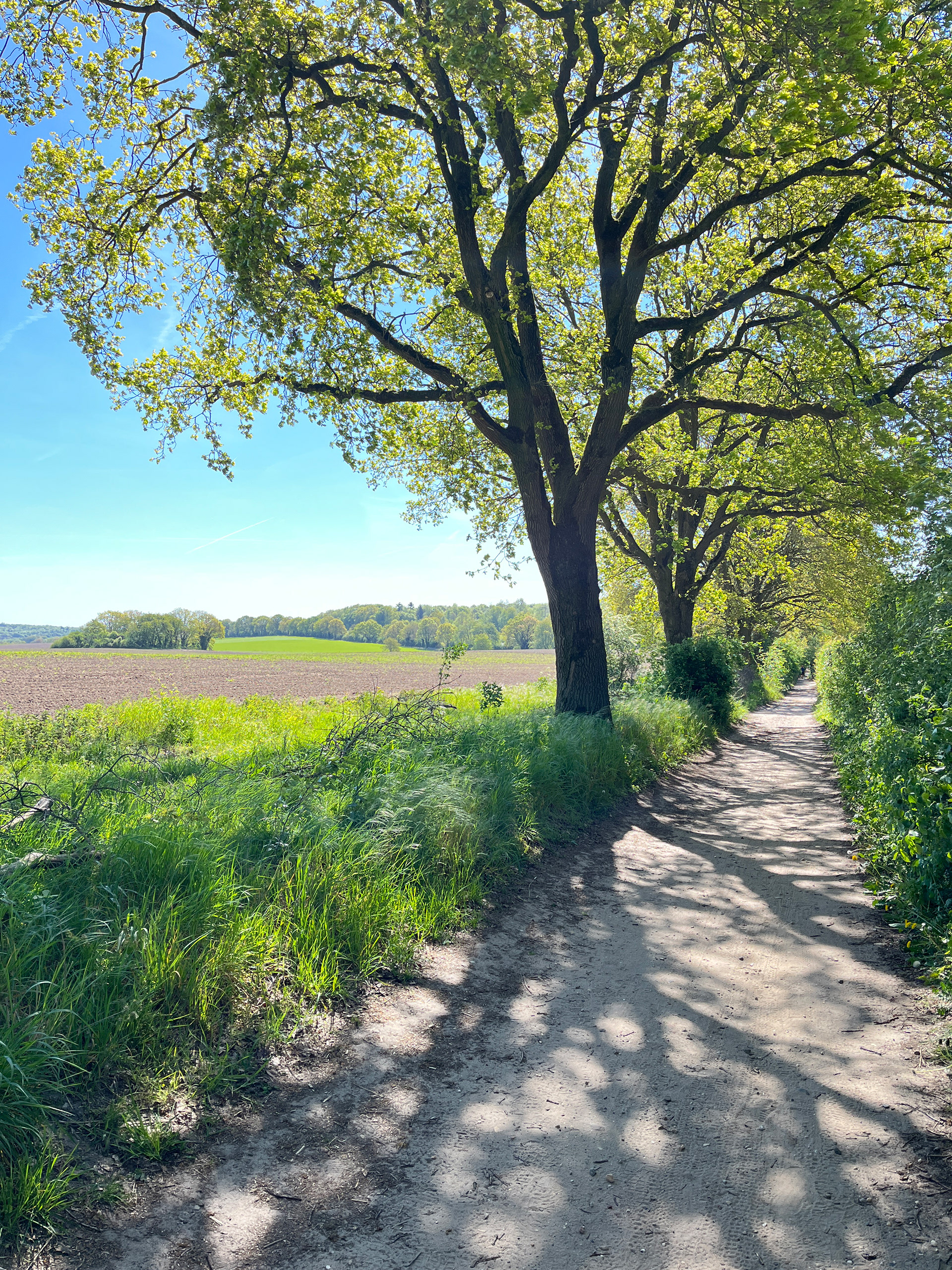 fraai landschap
