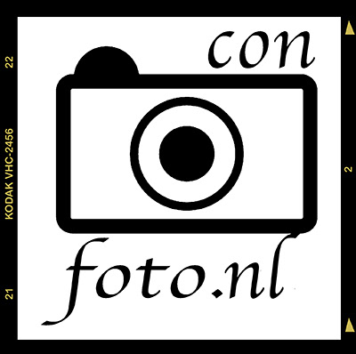 Con van Staa