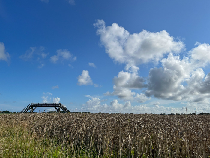 Gronings landschap