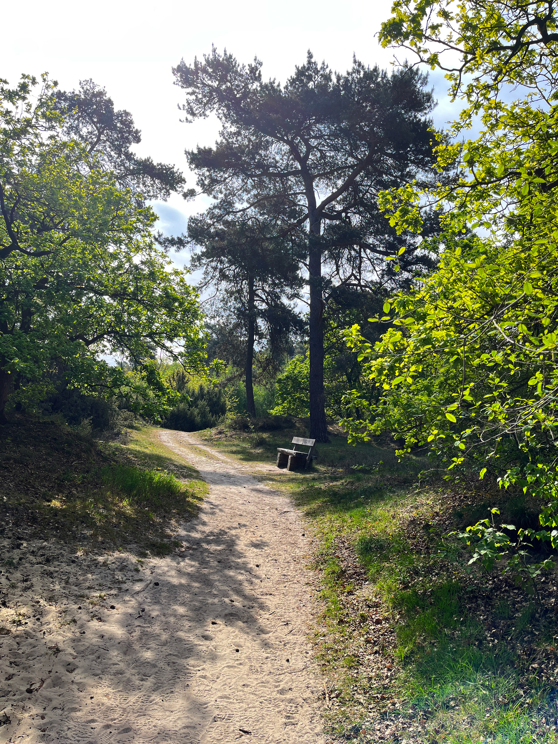 rustpunt