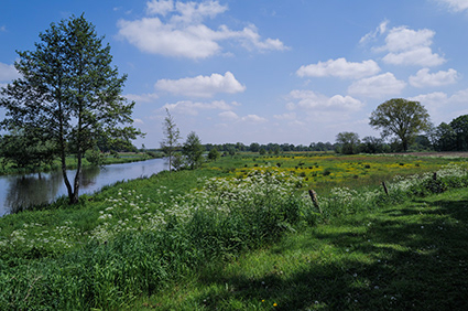 Etappe van Coevorden naar Hardenberg