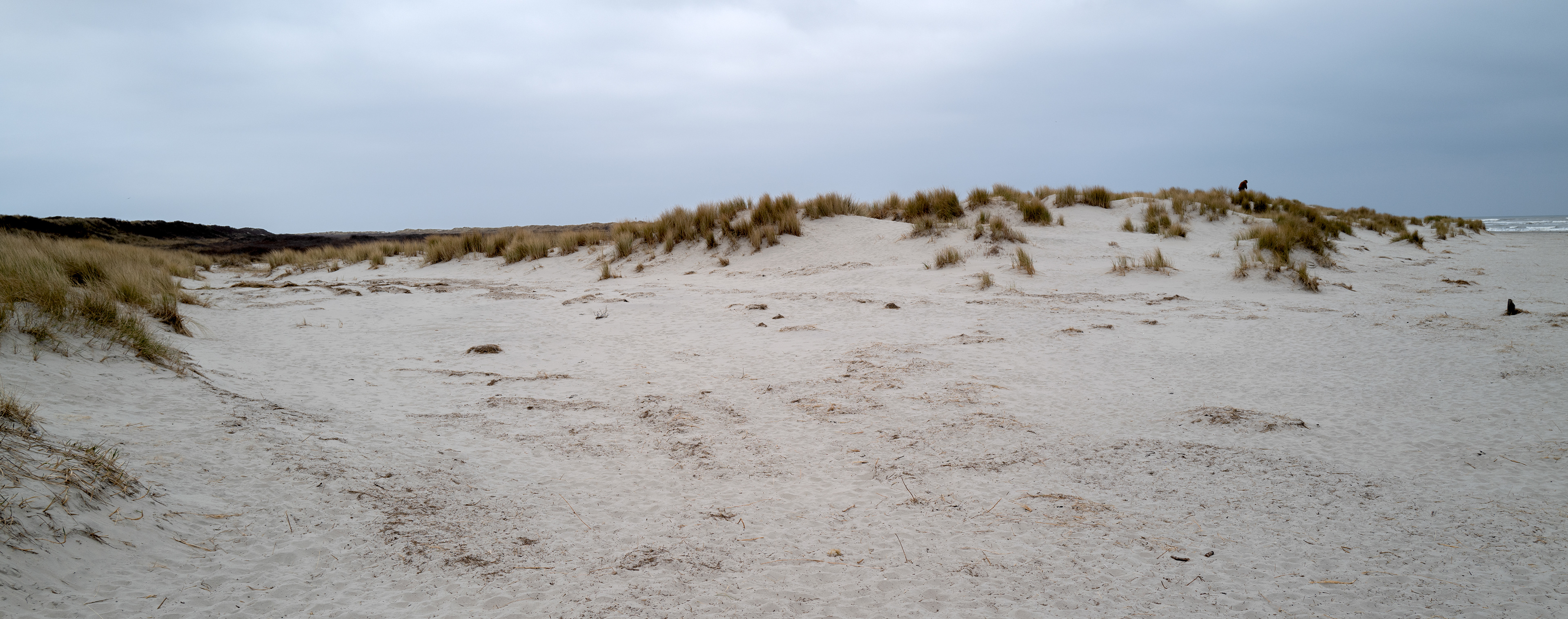 Schiermonnikoog
