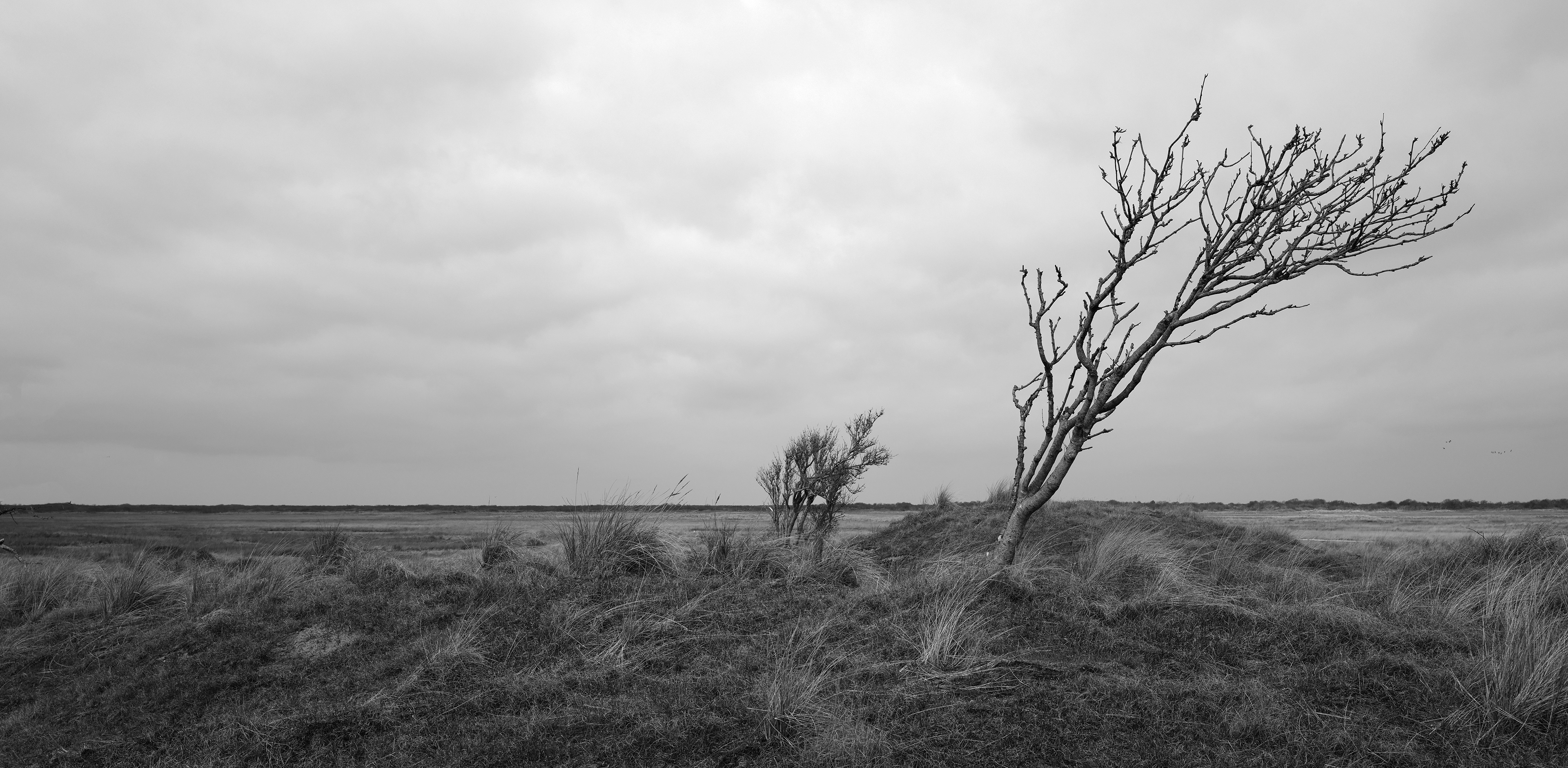 Schiermonnikoog