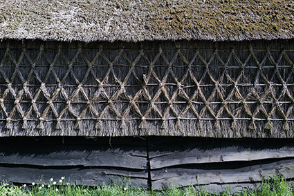 detail Rheeze