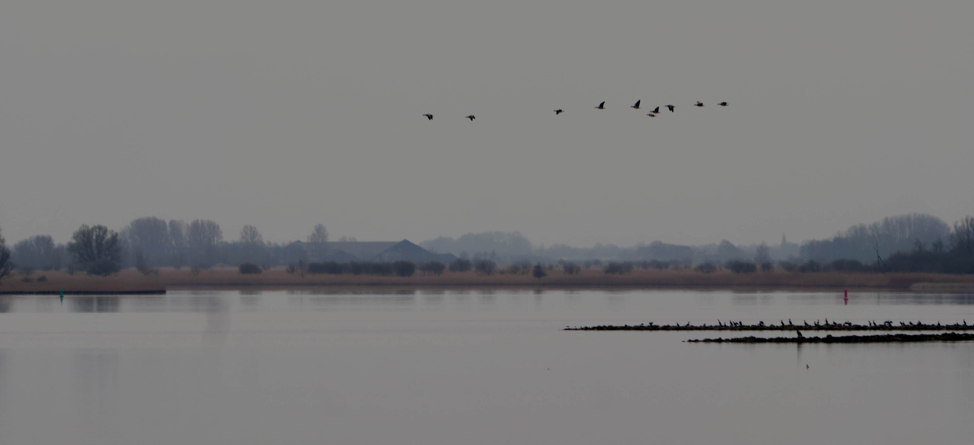 Lauwersmeer