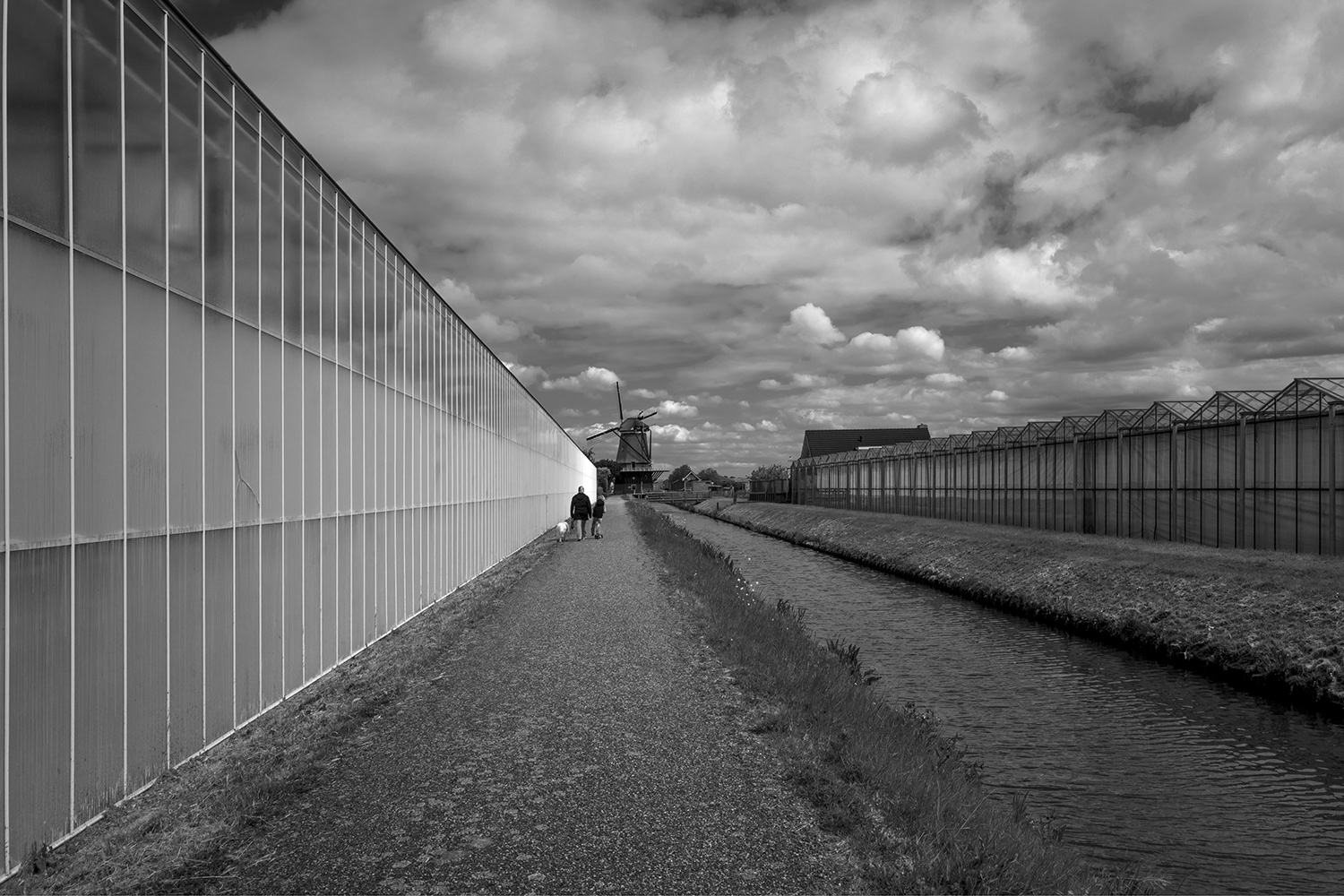 Het Westland, lucht, kassen, molen, sloot