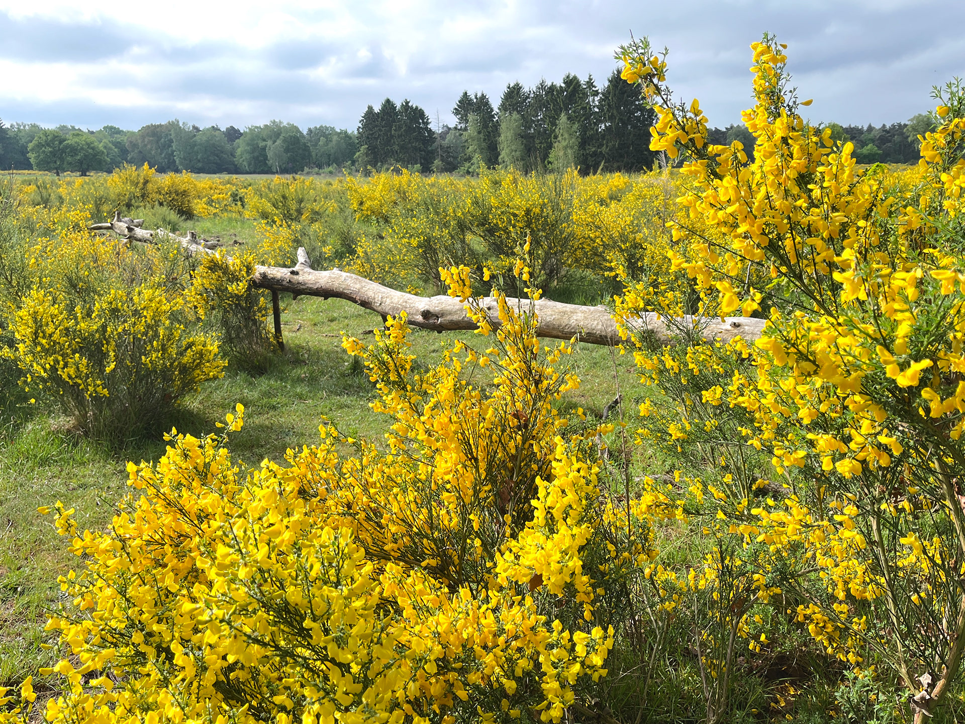 stukje Duitsland