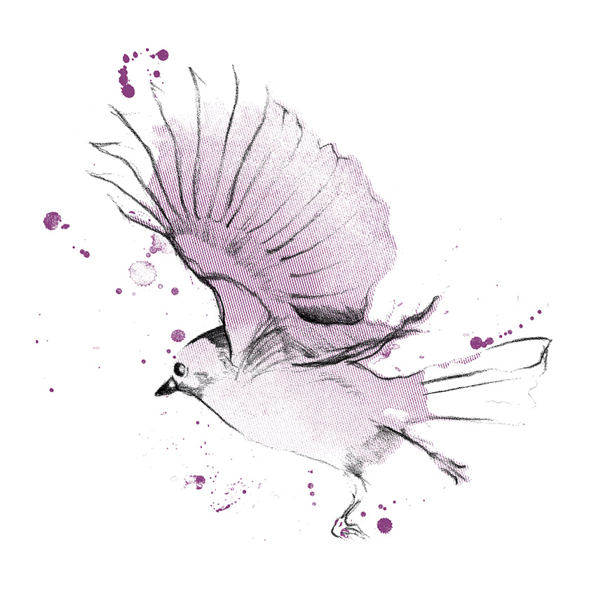 BIRD / WOMEN / MINT & BERRY